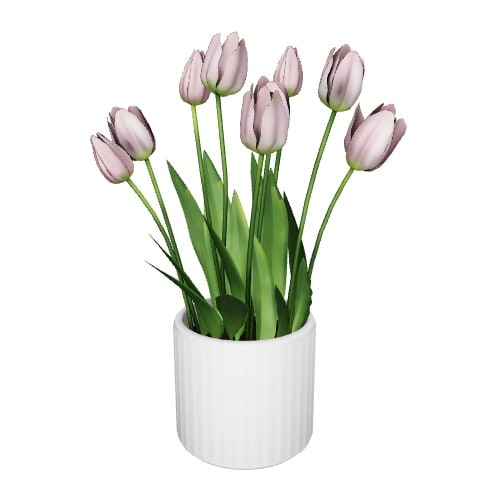 Three-dimensional representation of the product