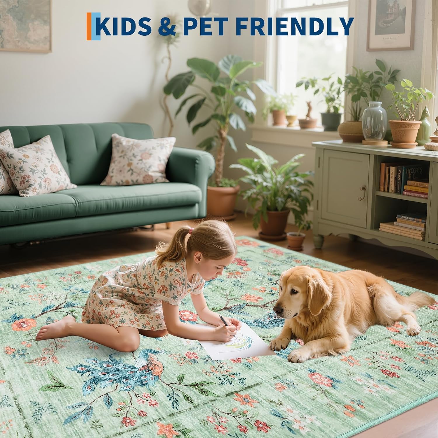 Assile XH260820344 rugs - View #7
