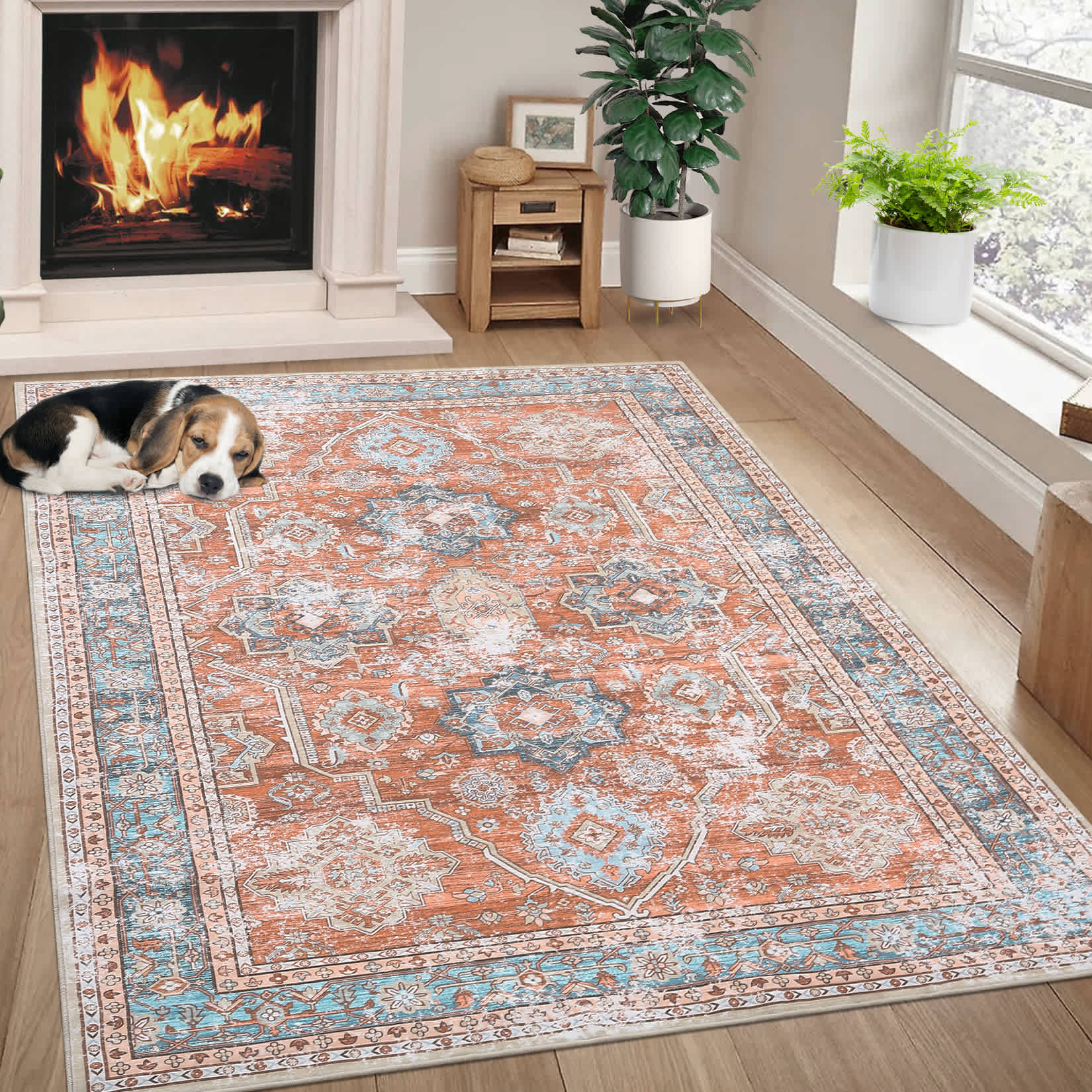 Qeetex LSN-PHO-13P9JVZP rugs - View #2