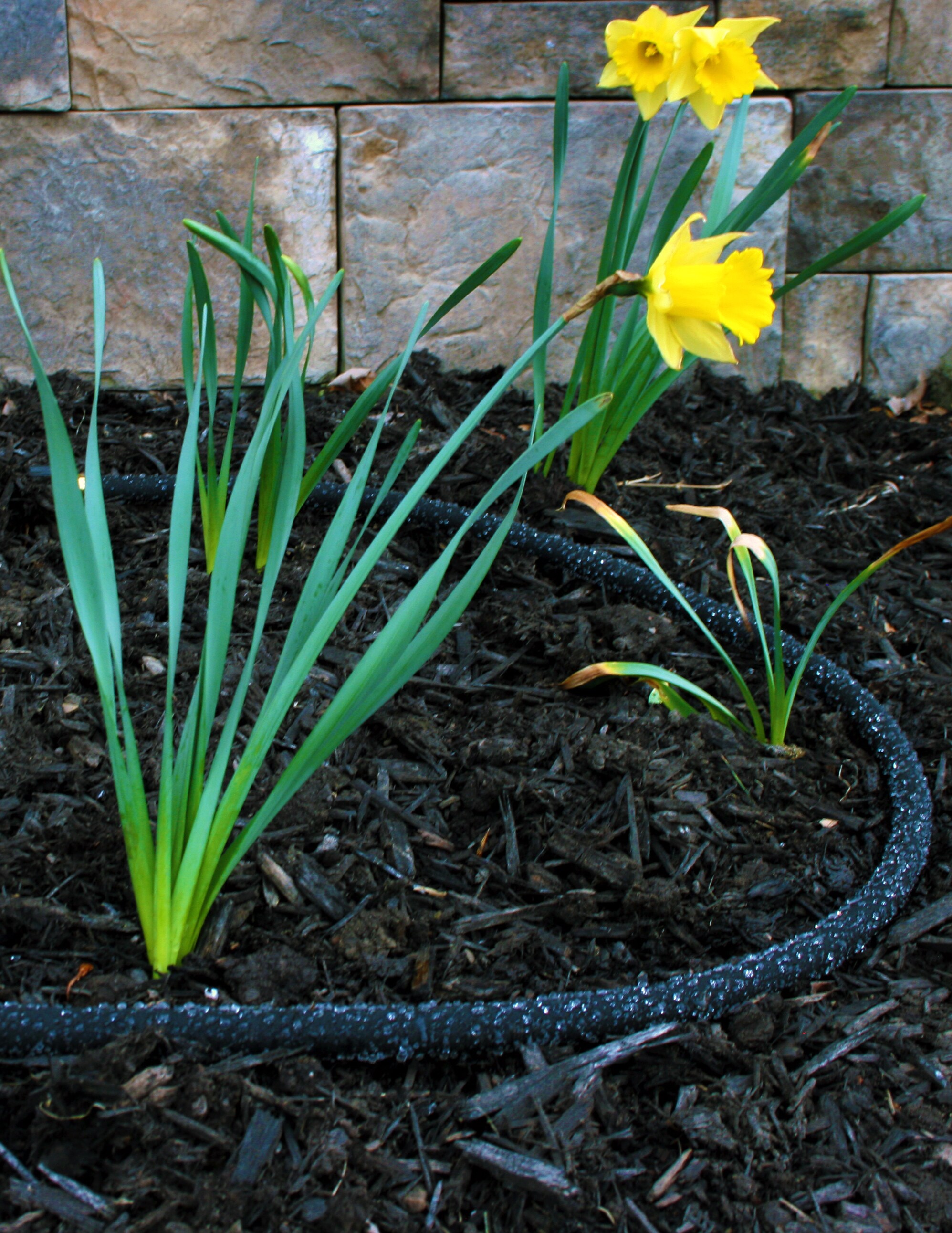 Good Ideas RBSOAKER50 Rain-Barrels - View #16