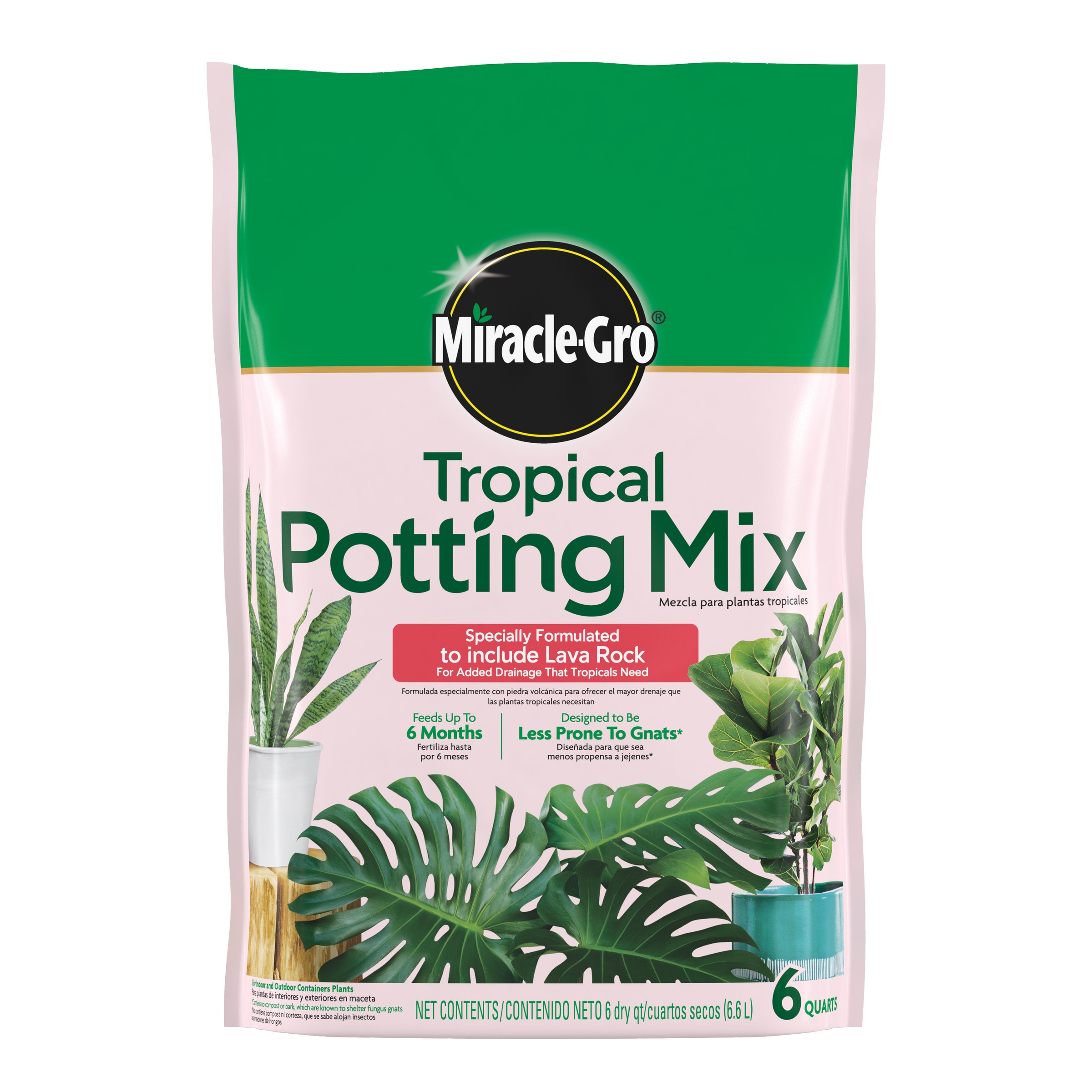 Miracle-Gro Tropical and Succulent Potting Soil Mix in the Soil