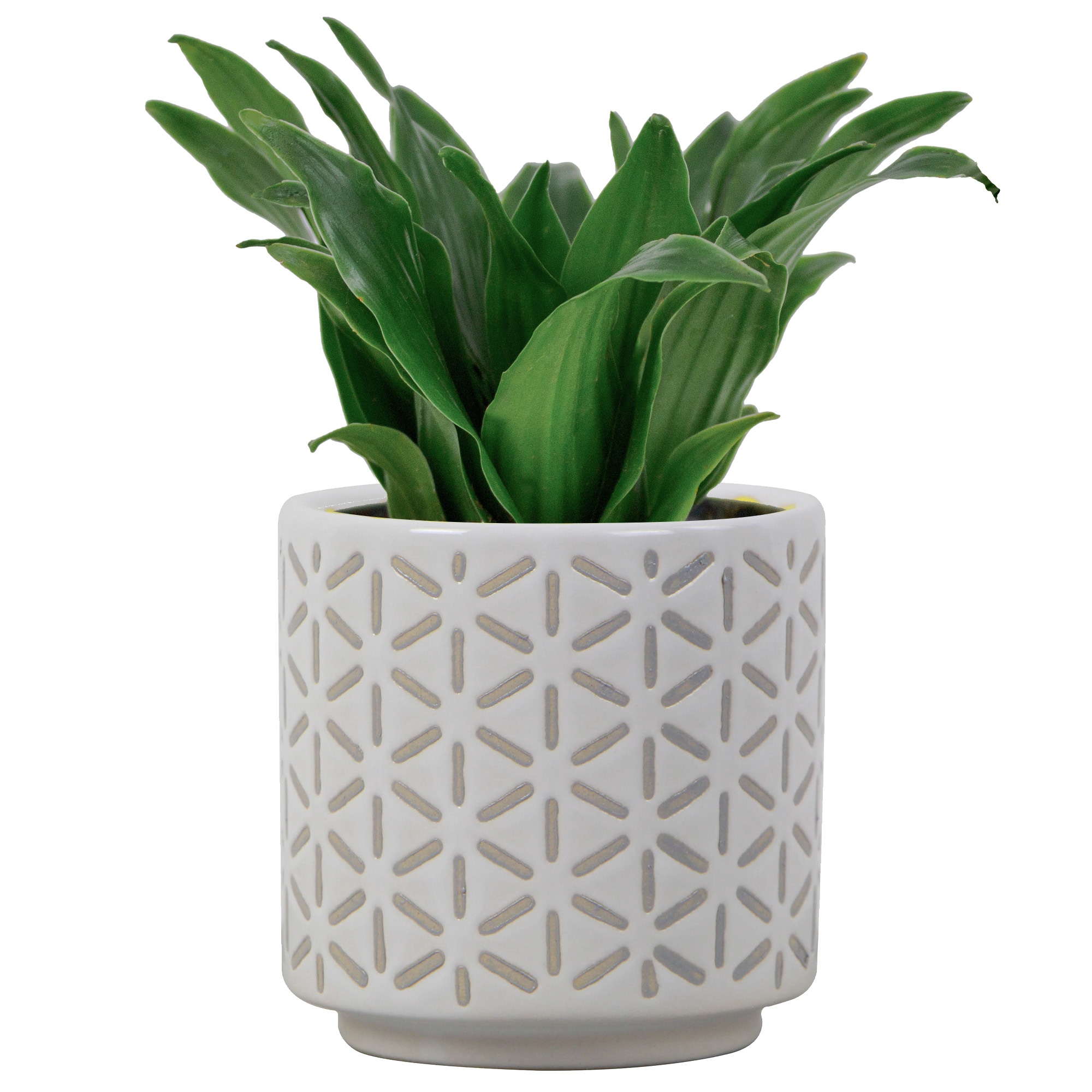 allen + roth LUCR02112N-03H Planter-Window-Box - View #2