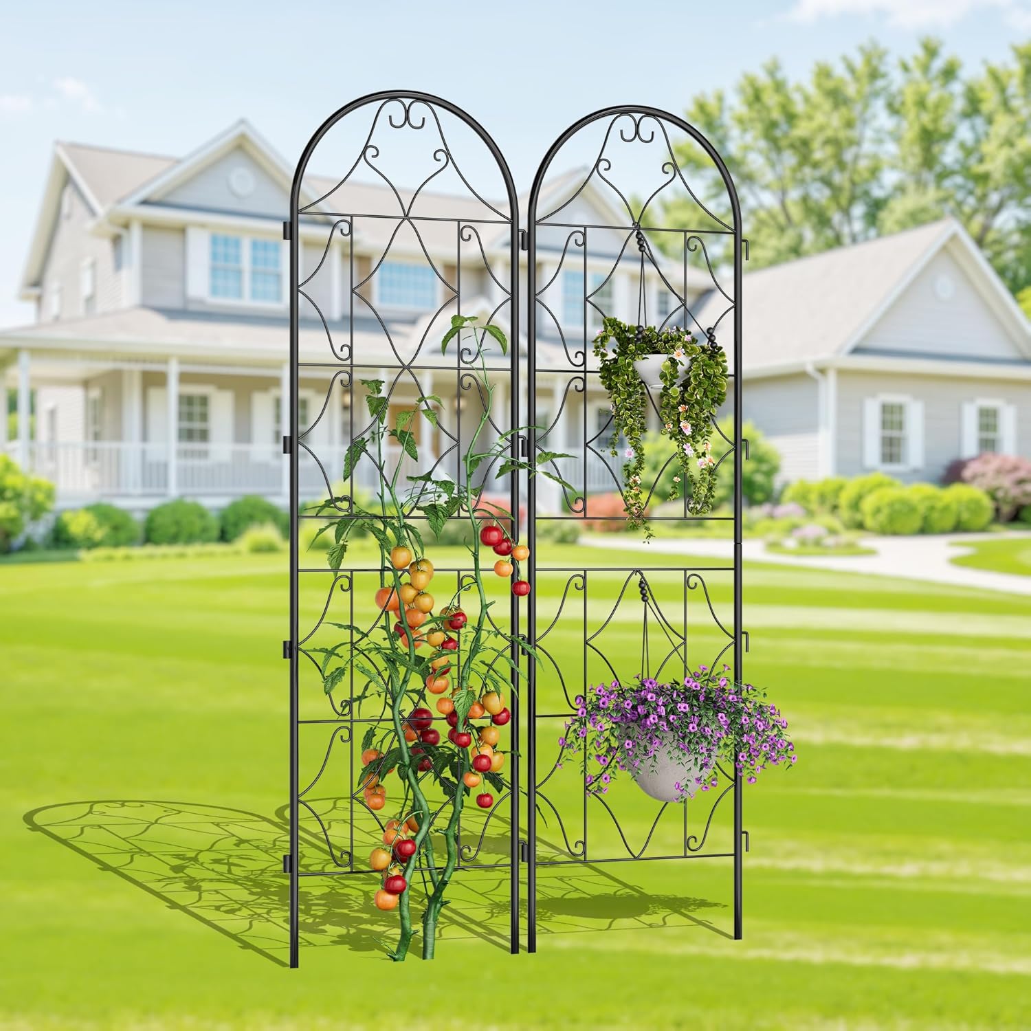 Qeetex LMY-PPG-337HSRYY Outdoor-Privacy-Screen - View #3