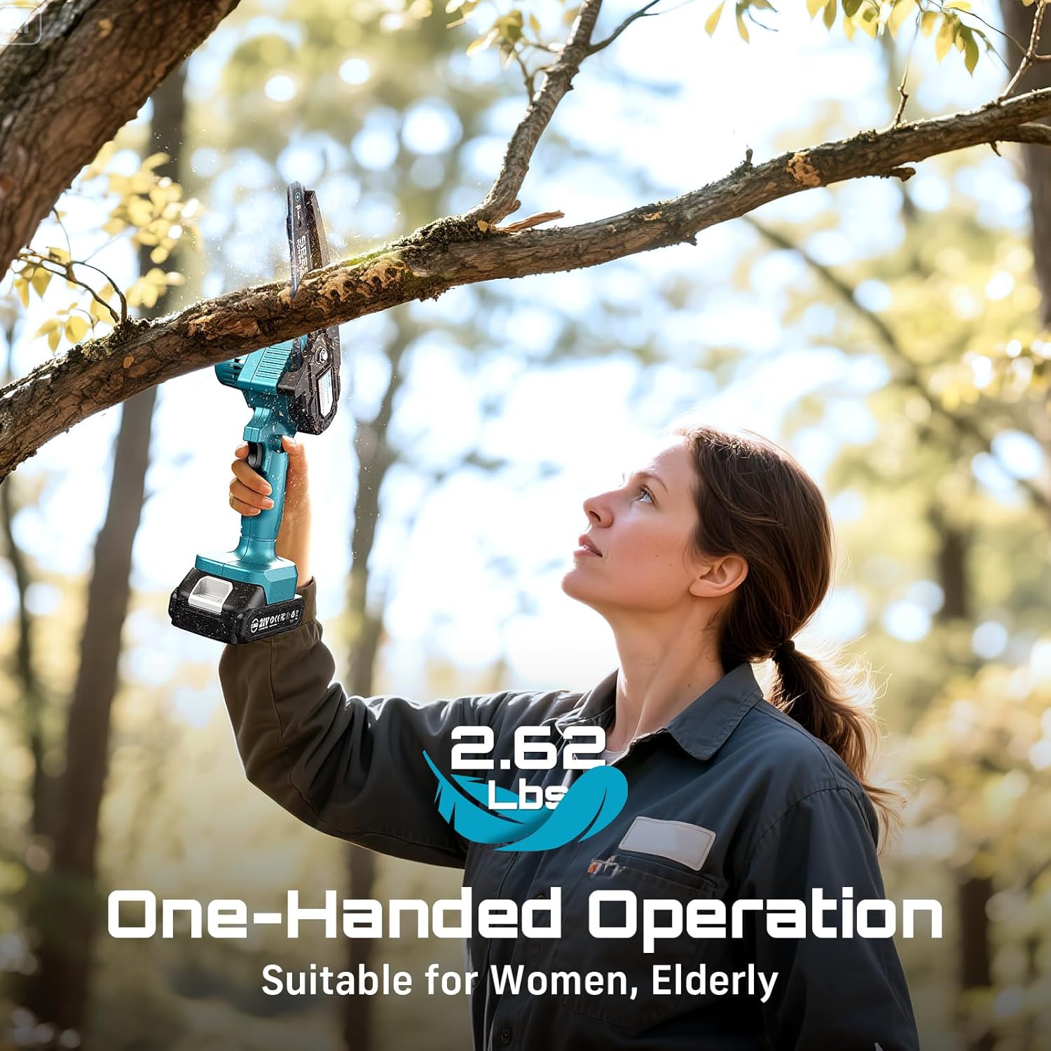SeeSii CP3B2215US Cordless-Chainsaw - View #2