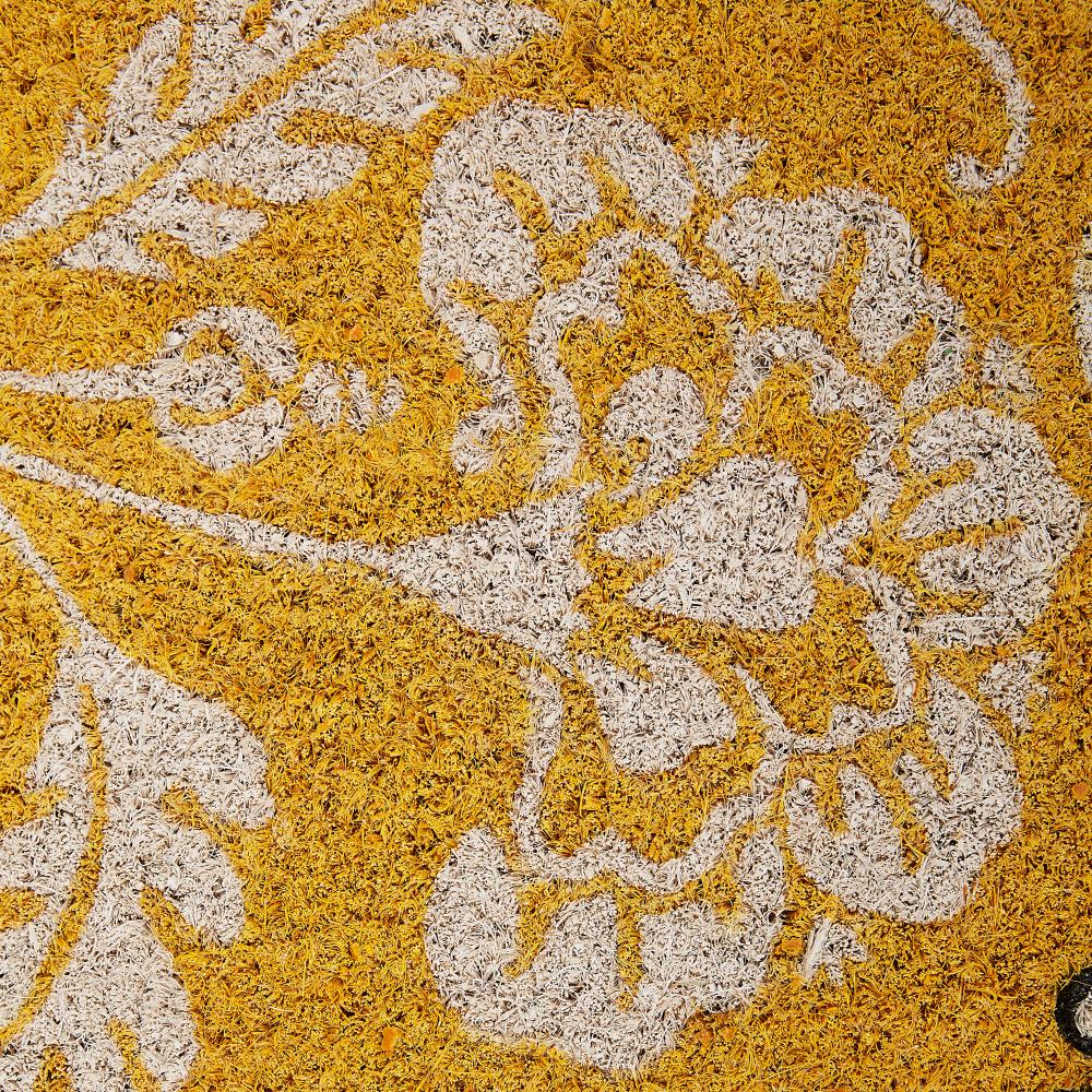 DII CAMZ11541 Mats-Cat - View #3