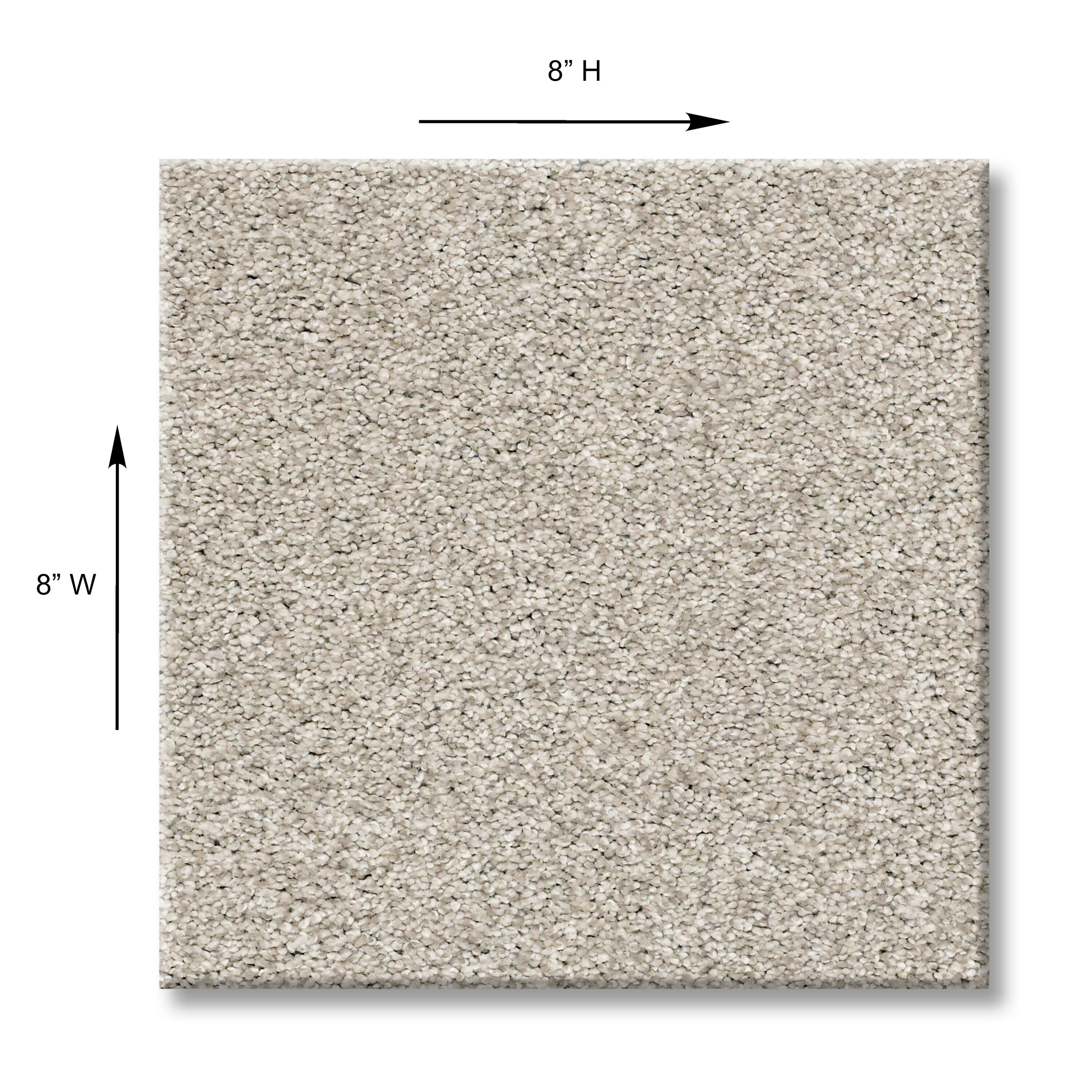 STAINMASTER 7L797-128T-SAMP Carpet-Samples - View #5
