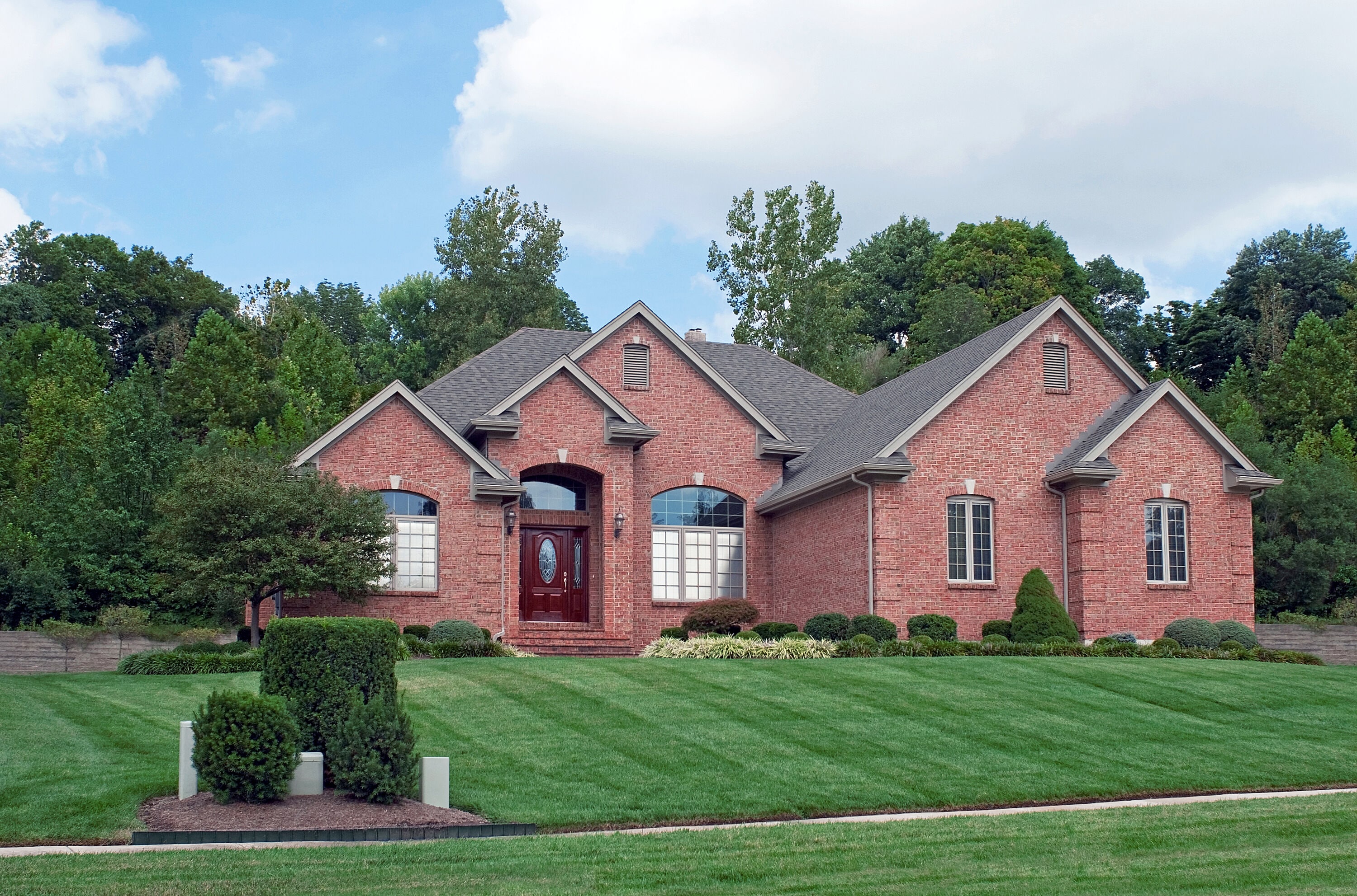Harmony Outdoor Brands BLUEGRASS-2DS sod - View #3
