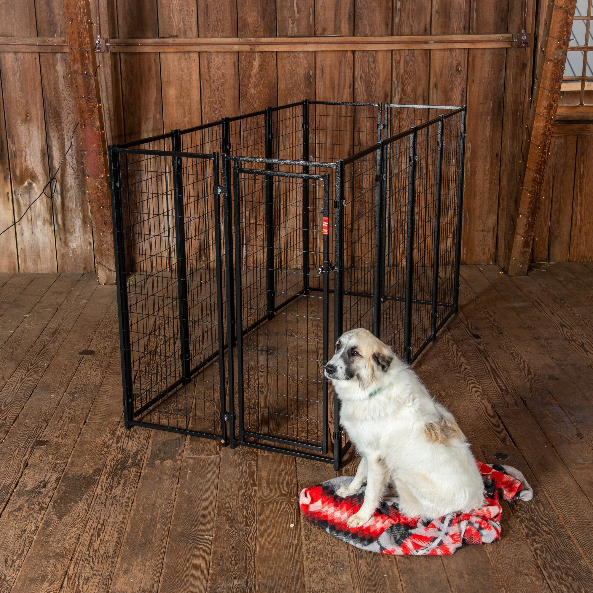 Lucky Dog CL 65151 Pet-Crates-Carriers - View #5