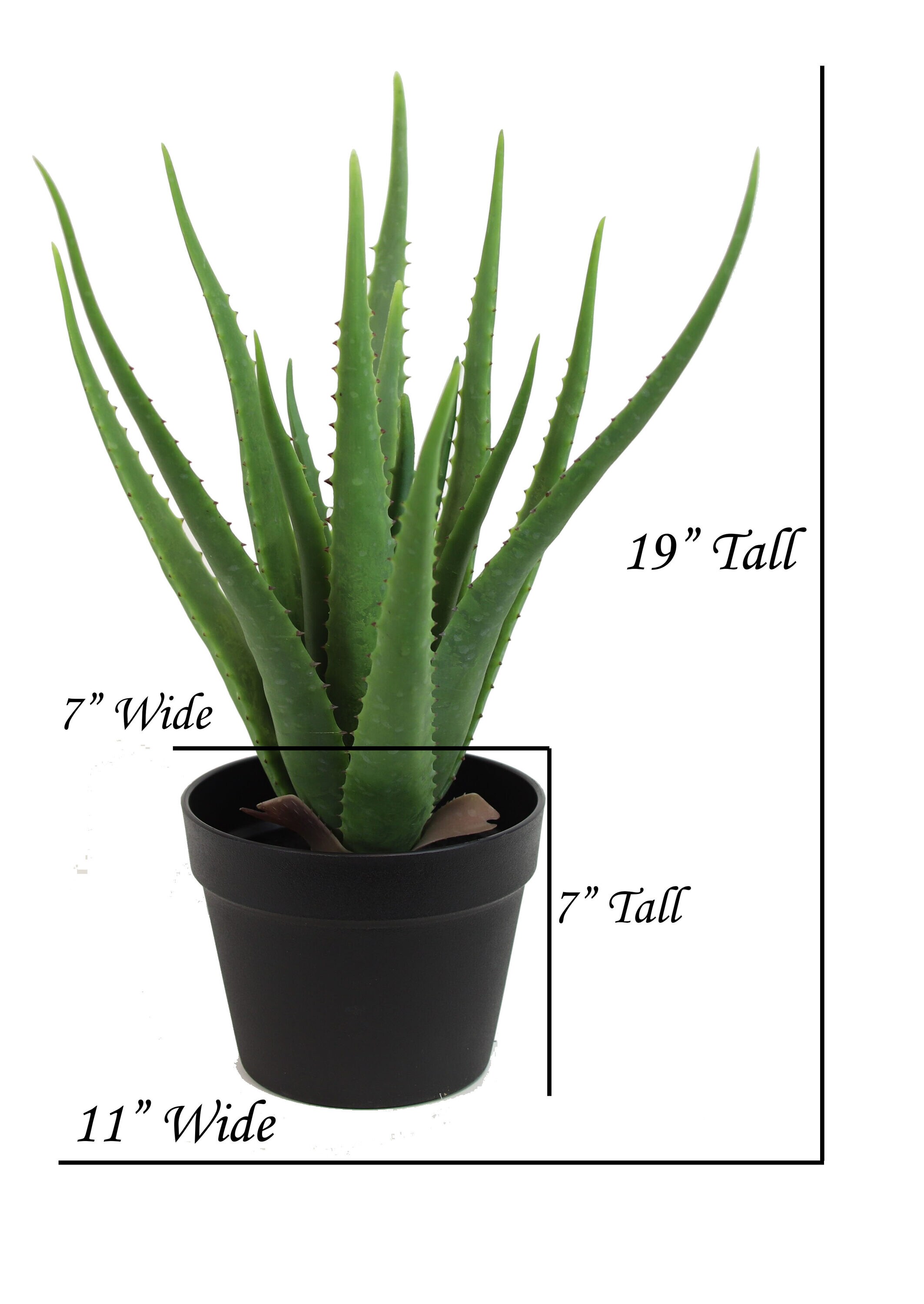 The Mod Greenhouse YPG01061 Artificial-Plants-Trees - View #3