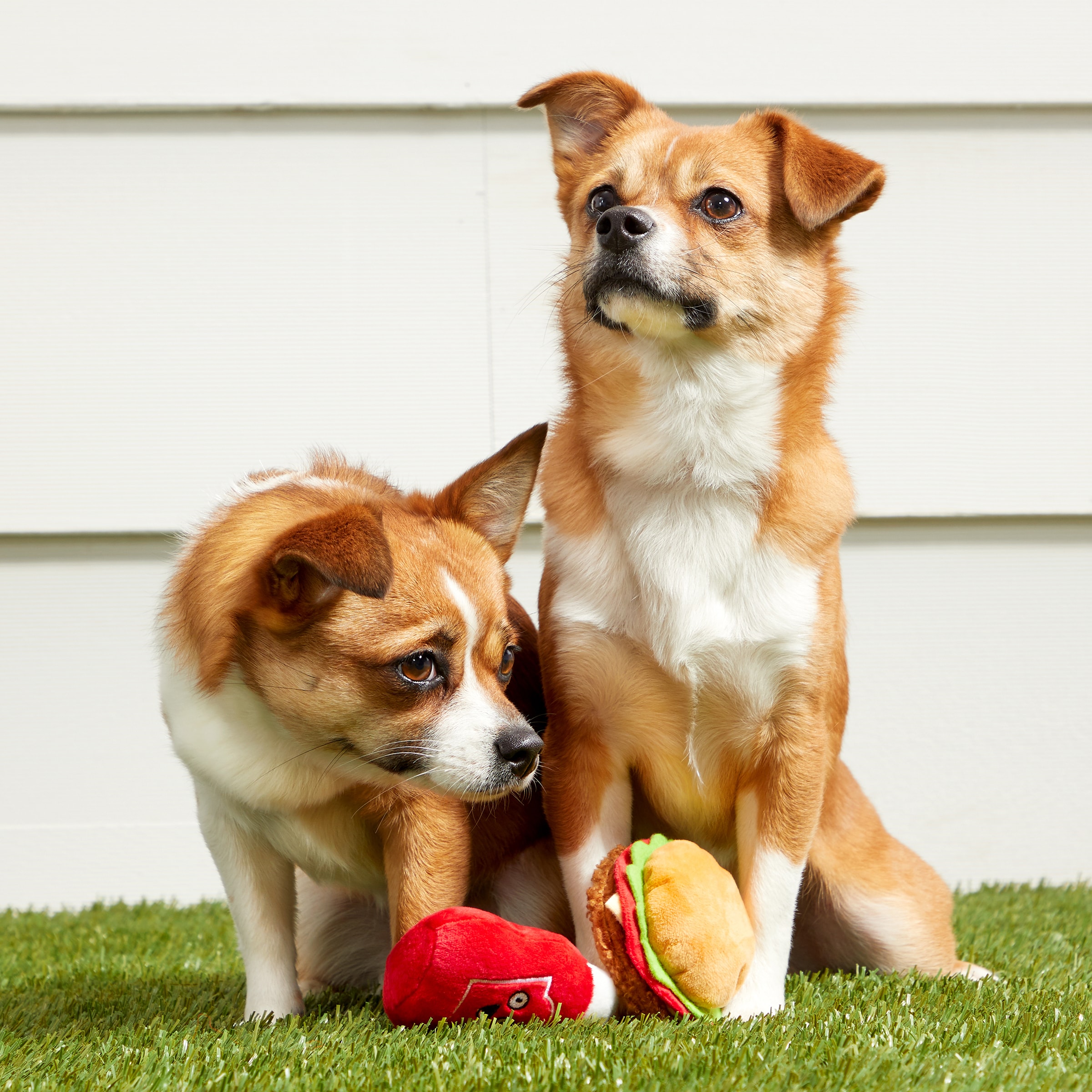 BARK 214986 Dog-Toys - View #2