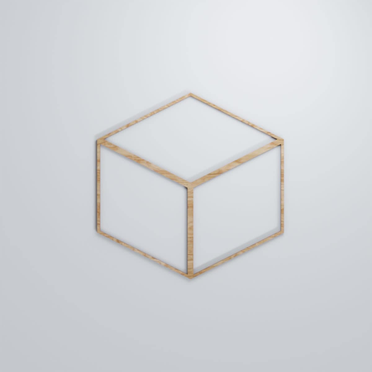 Ekena Millwork WALW16X16X0250PBLRO Wall-Panels - View #2