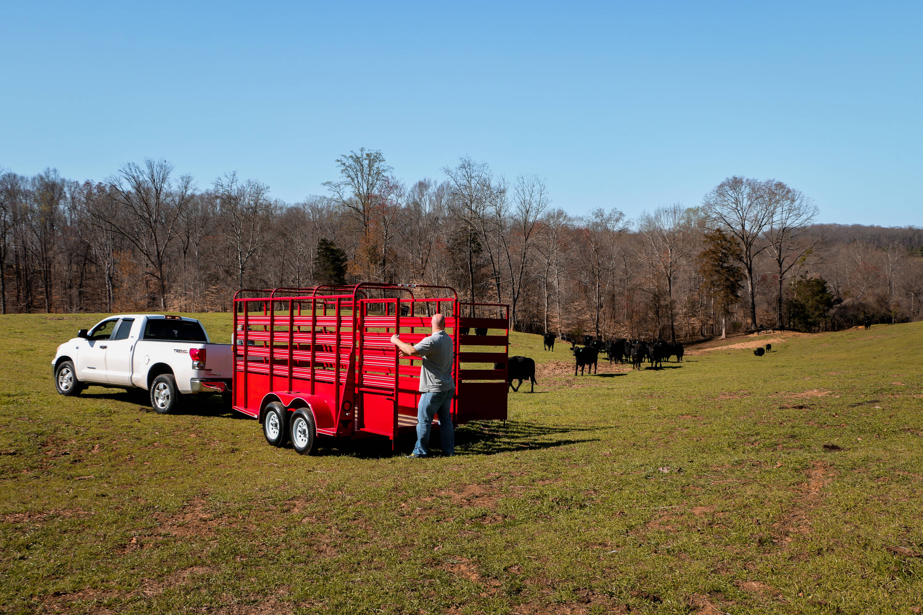 Carry-On Trailer LIVESTOCK-OT2BRK Enclosed-Trailers - View #2