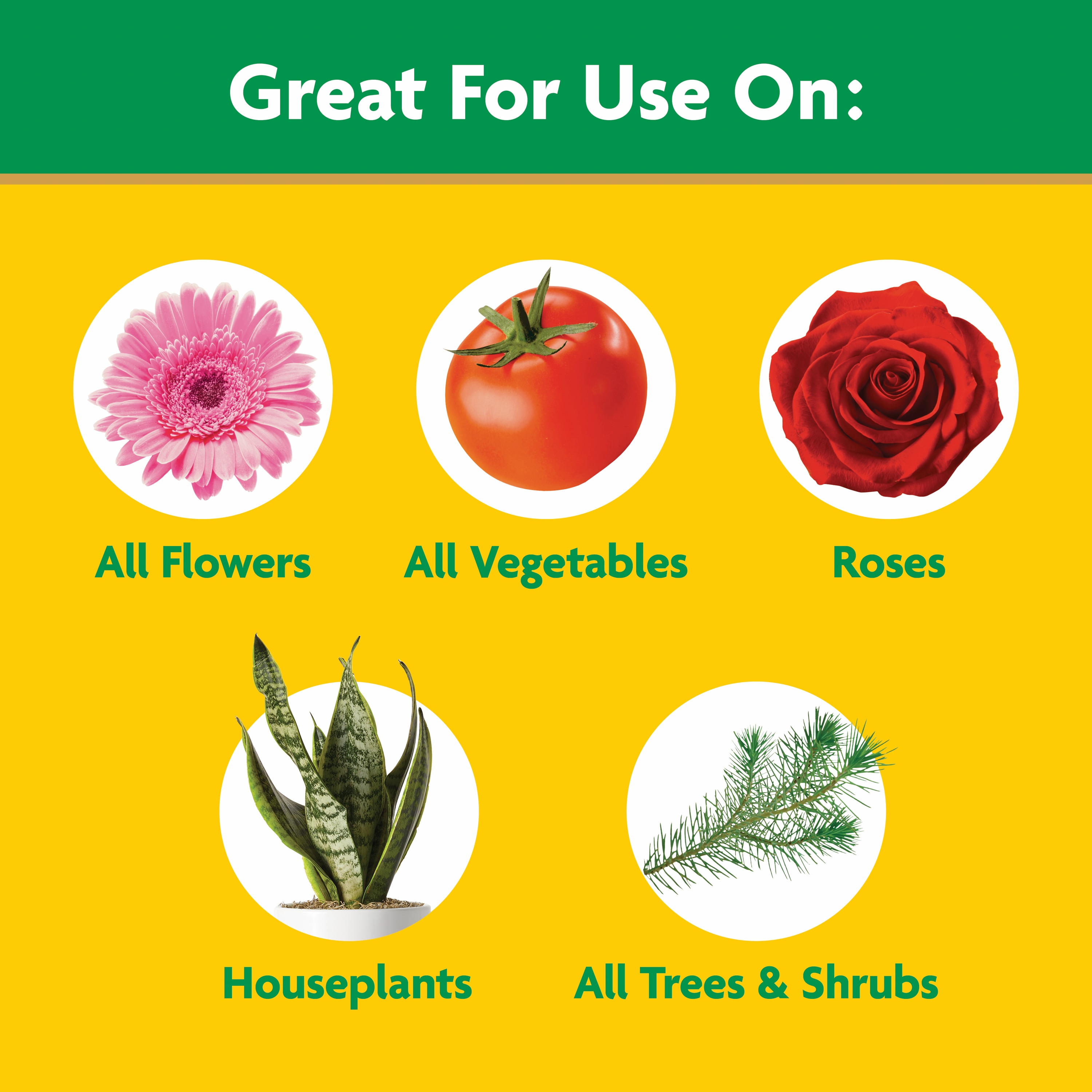 Miracle-Gro 1013328 Plant-Food - View #2