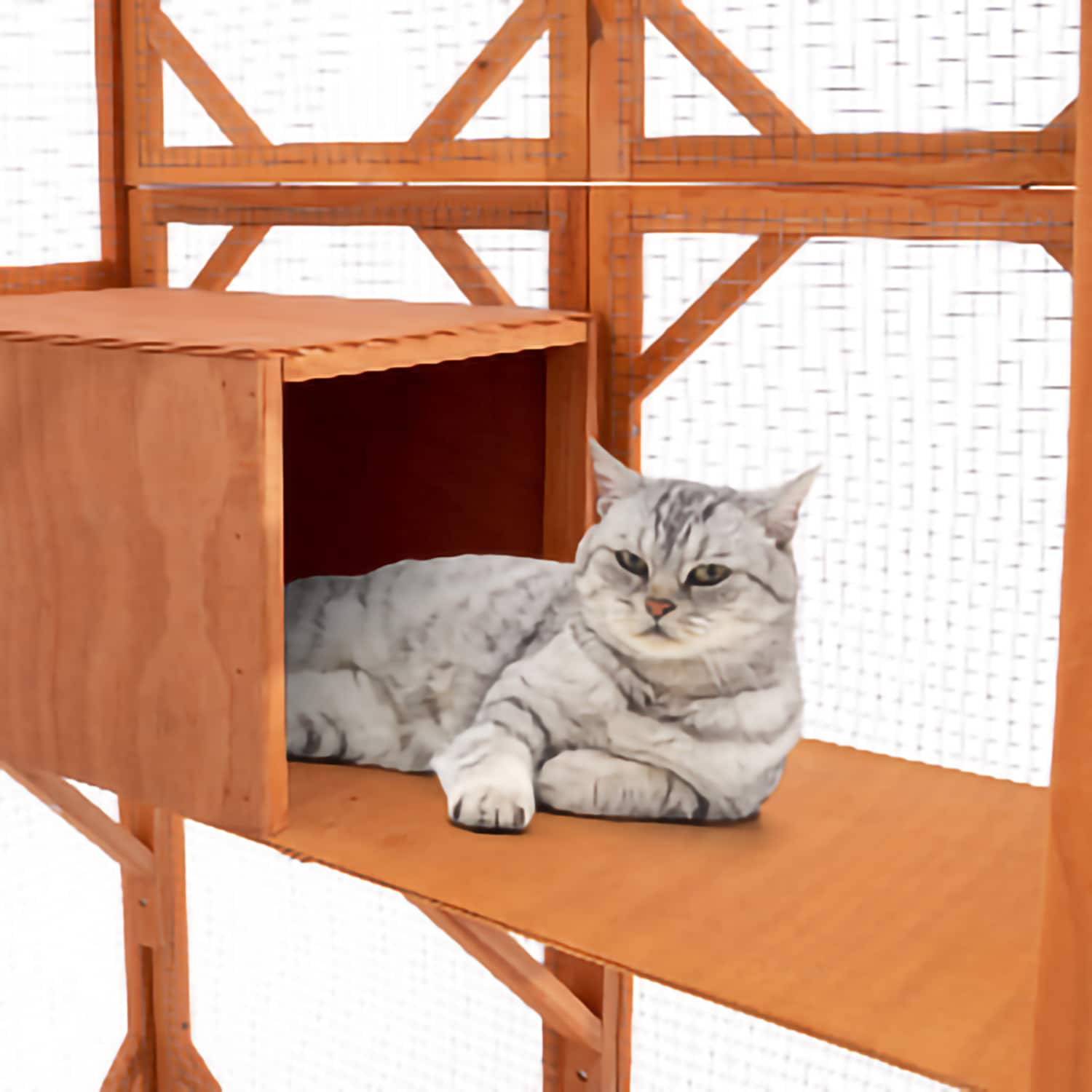 MIDHAM AMKF150142-01 Dog-Houses - View #11