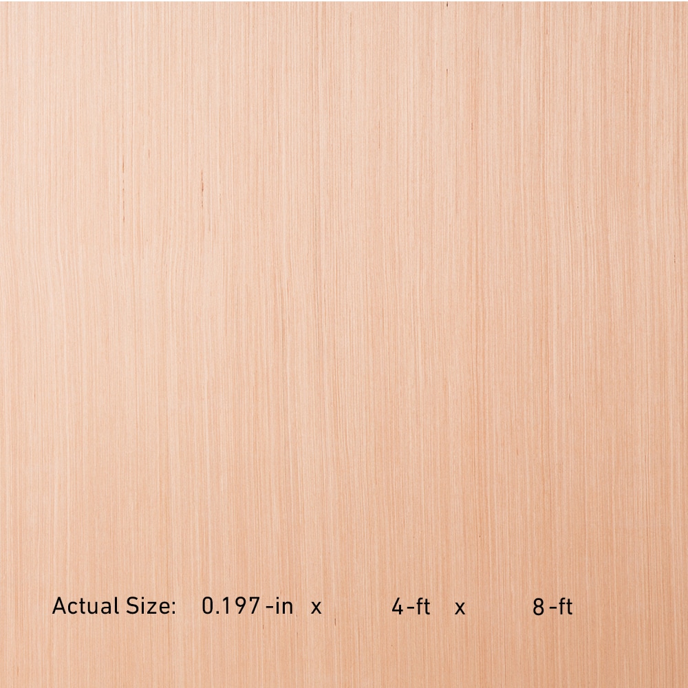 RevolutionPly 5Mm x 4-ft x 8-ft Poplar Sanded Plywood in the Plywood &  Sheathing department at