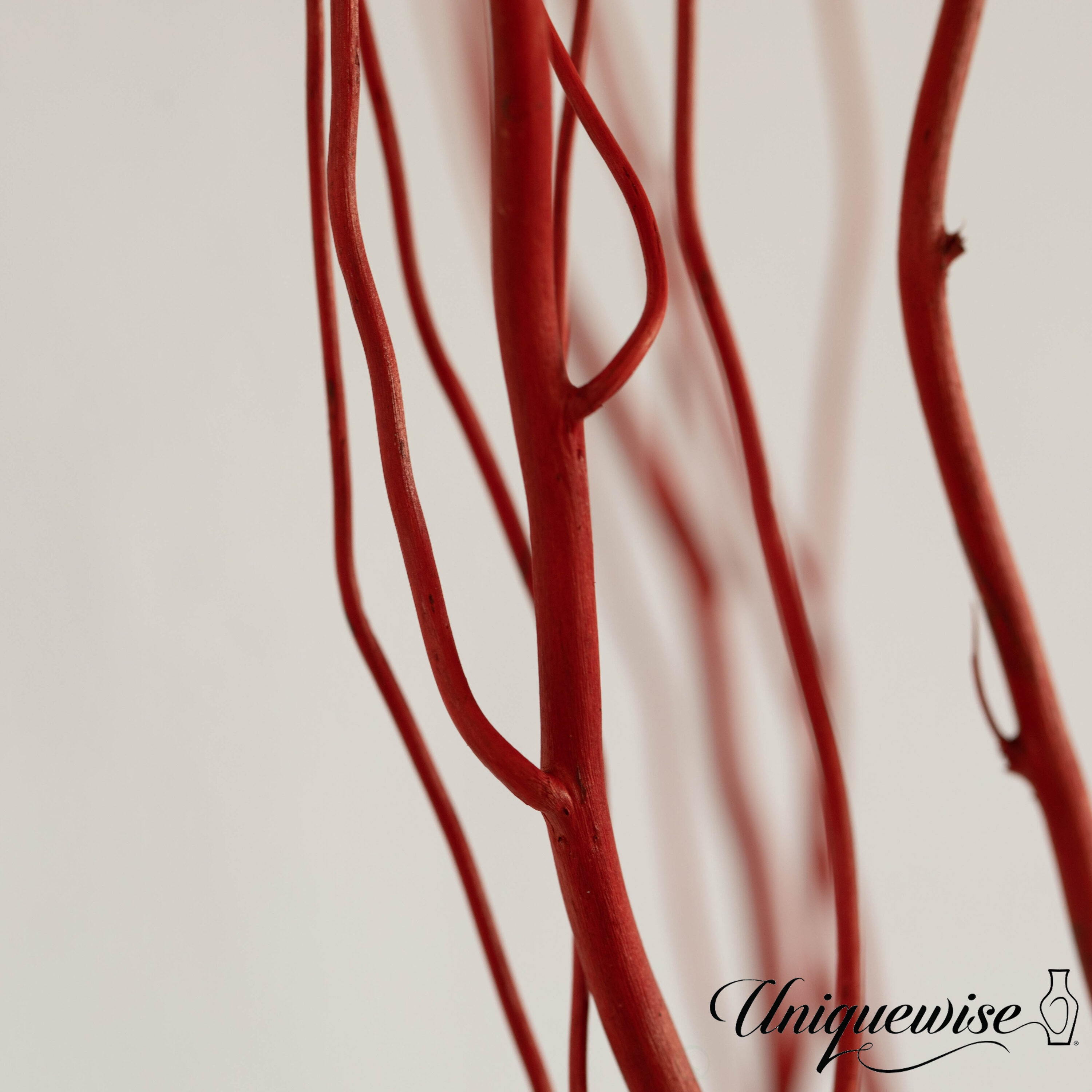 Uniquewise QI004415.RD-60 Decorative-Accessories - View #6