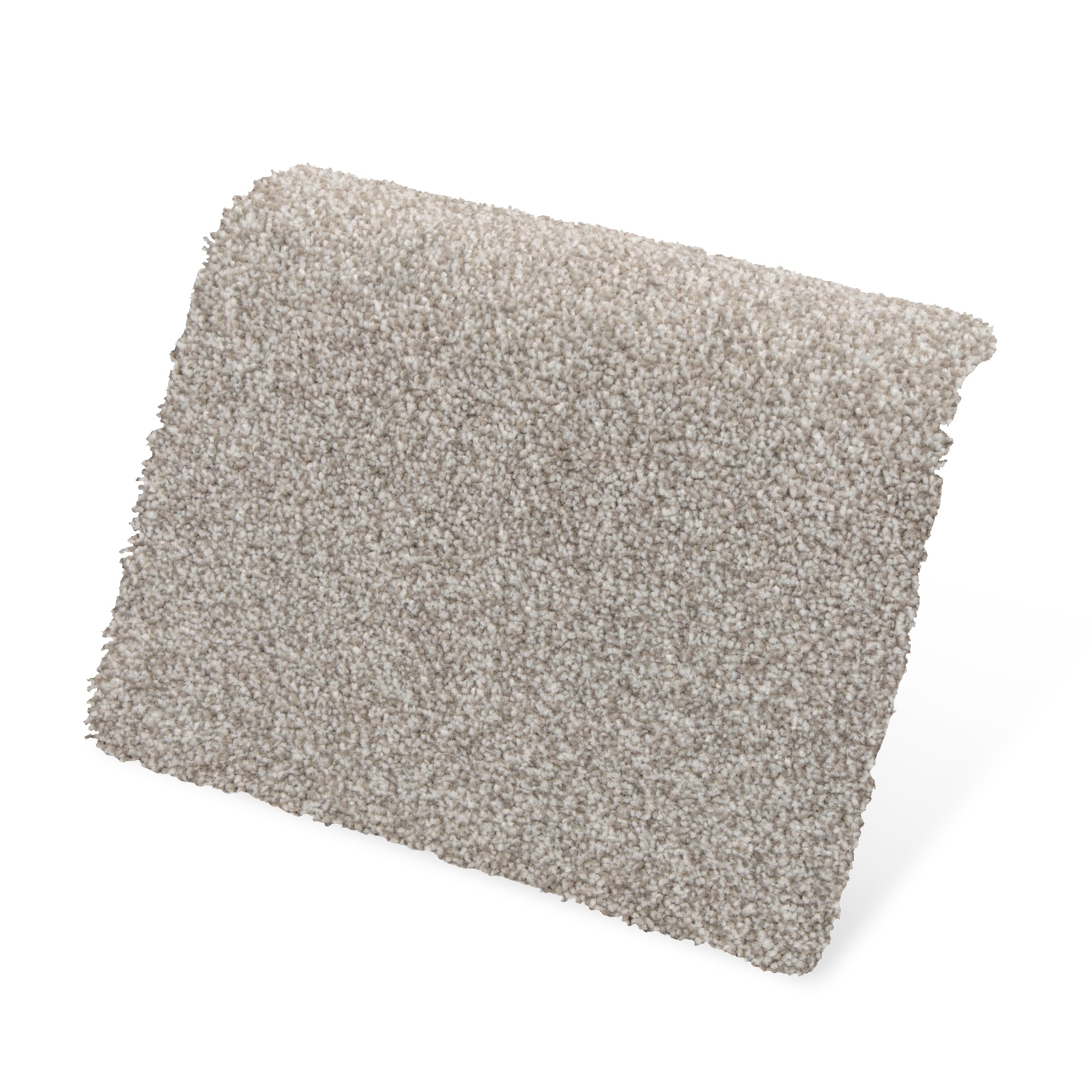 STAINMASTER SS019-L008-0808 Carpet-Samples - View #4