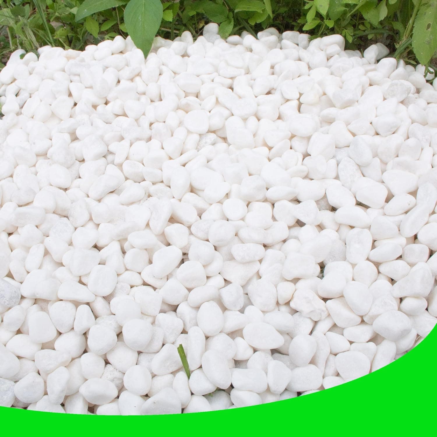 MaseiKar White Pebbles for Plants Garden Vases 9 lb White Rocks Gravel Decorative Stone - 0.5 Inch