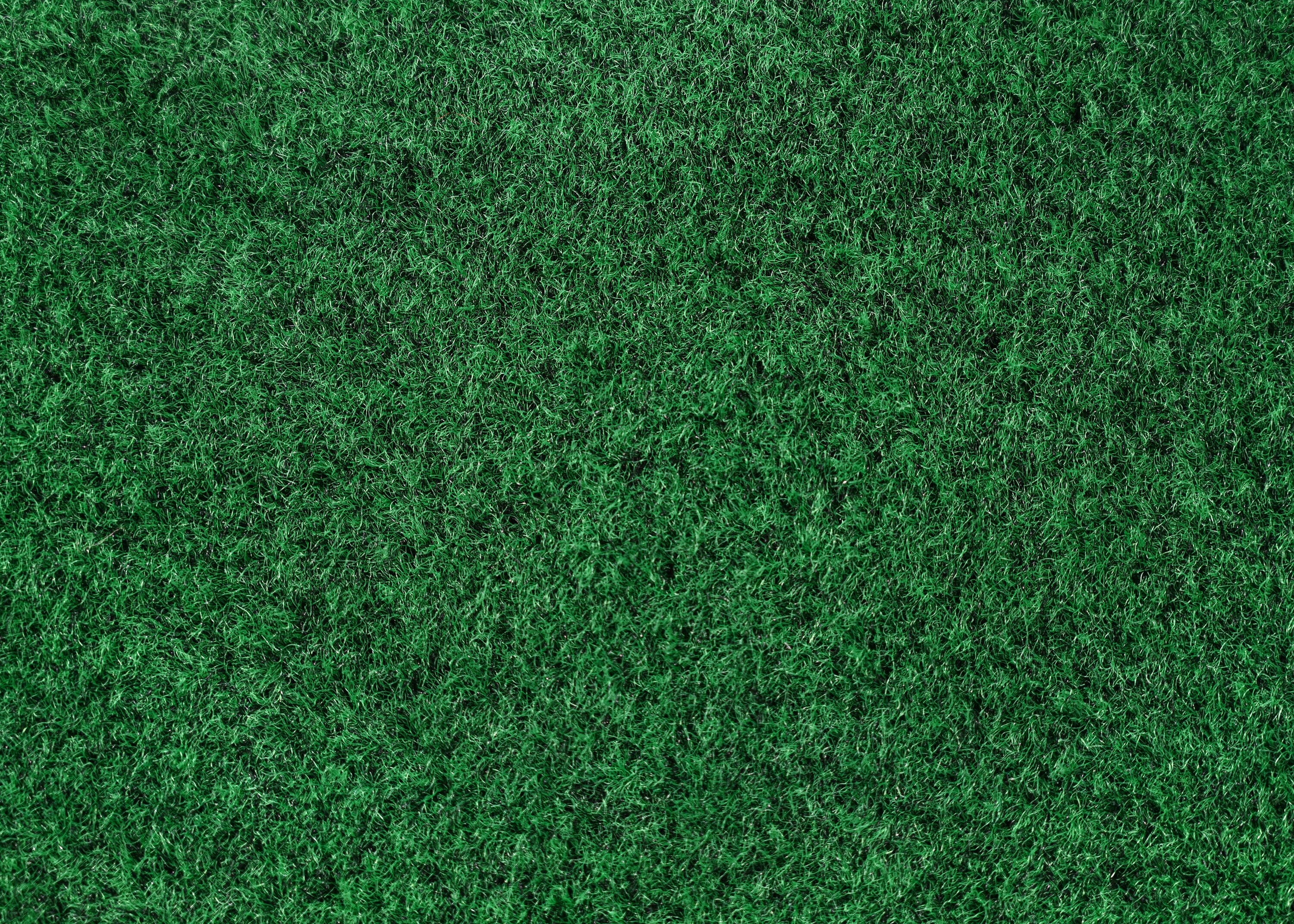 Soft Green 6' x 9' Washable Synthetic Area Rug