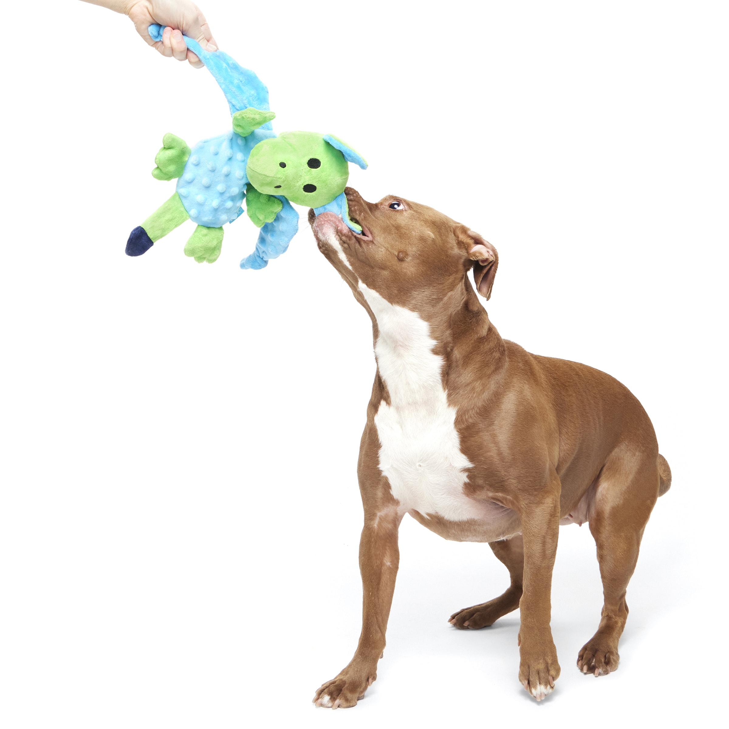 BARK 215096 Dog-Toys - View #4