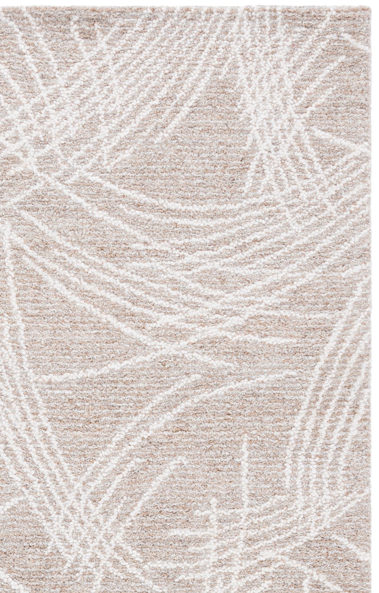Safavieh EBN367F-6 rugs - View #5