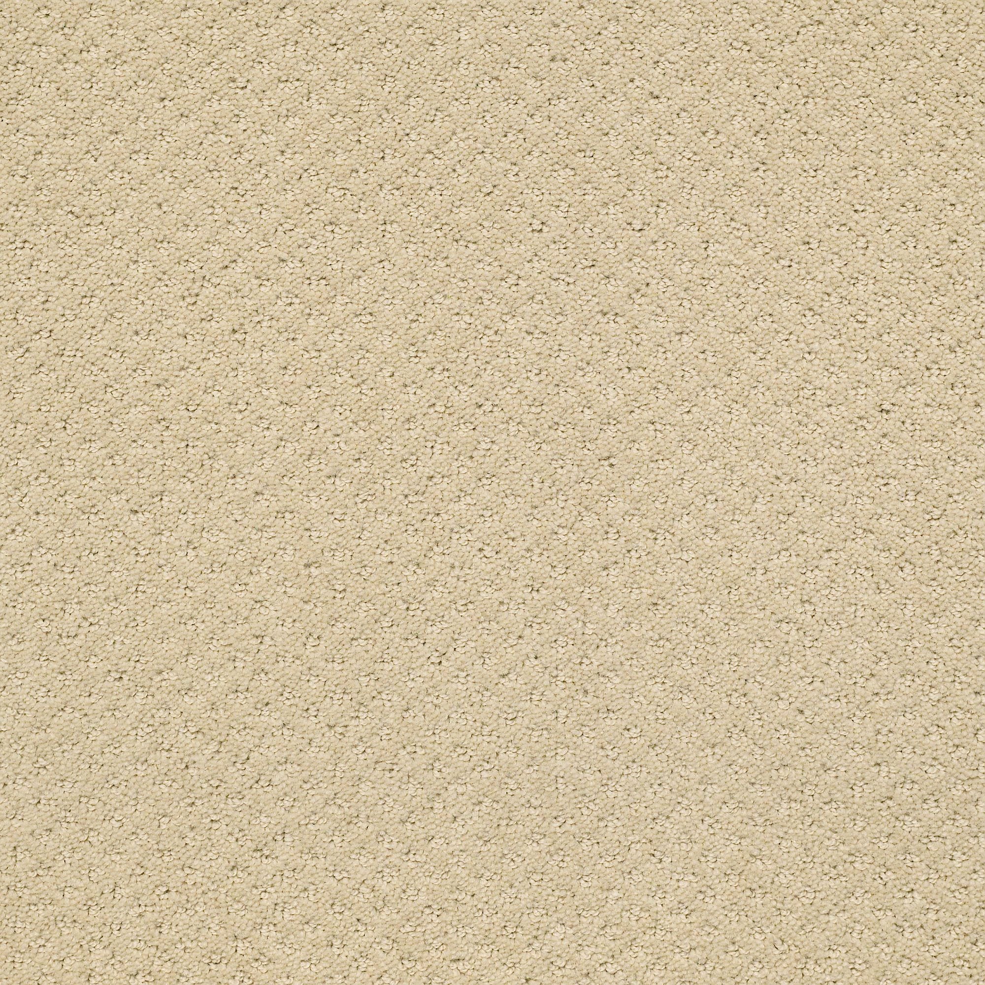 STAINMASTER 7L905 - 184 - SAMP (Sample) Crieve Hall Boutique Brown 25-oz sq yard Nylon Pattern Indoor Carpet