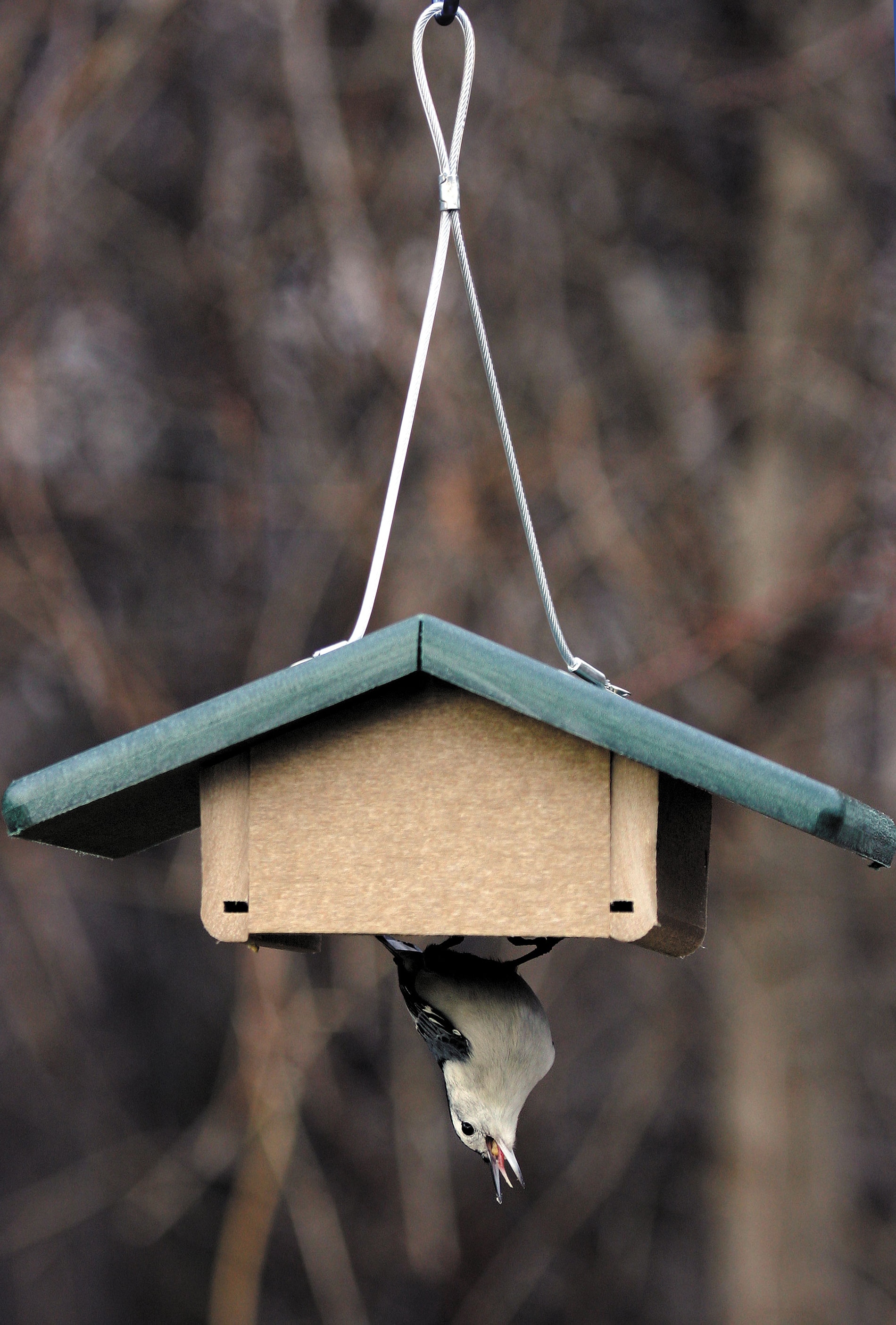 BIRDS CHOICE SNUD Bird-Feeders - View #6