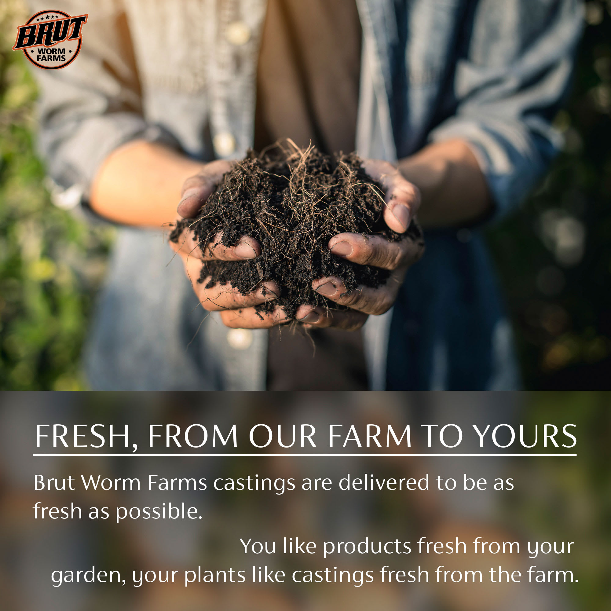 Brut Worm Farms 396612 Plant-Food - View #2