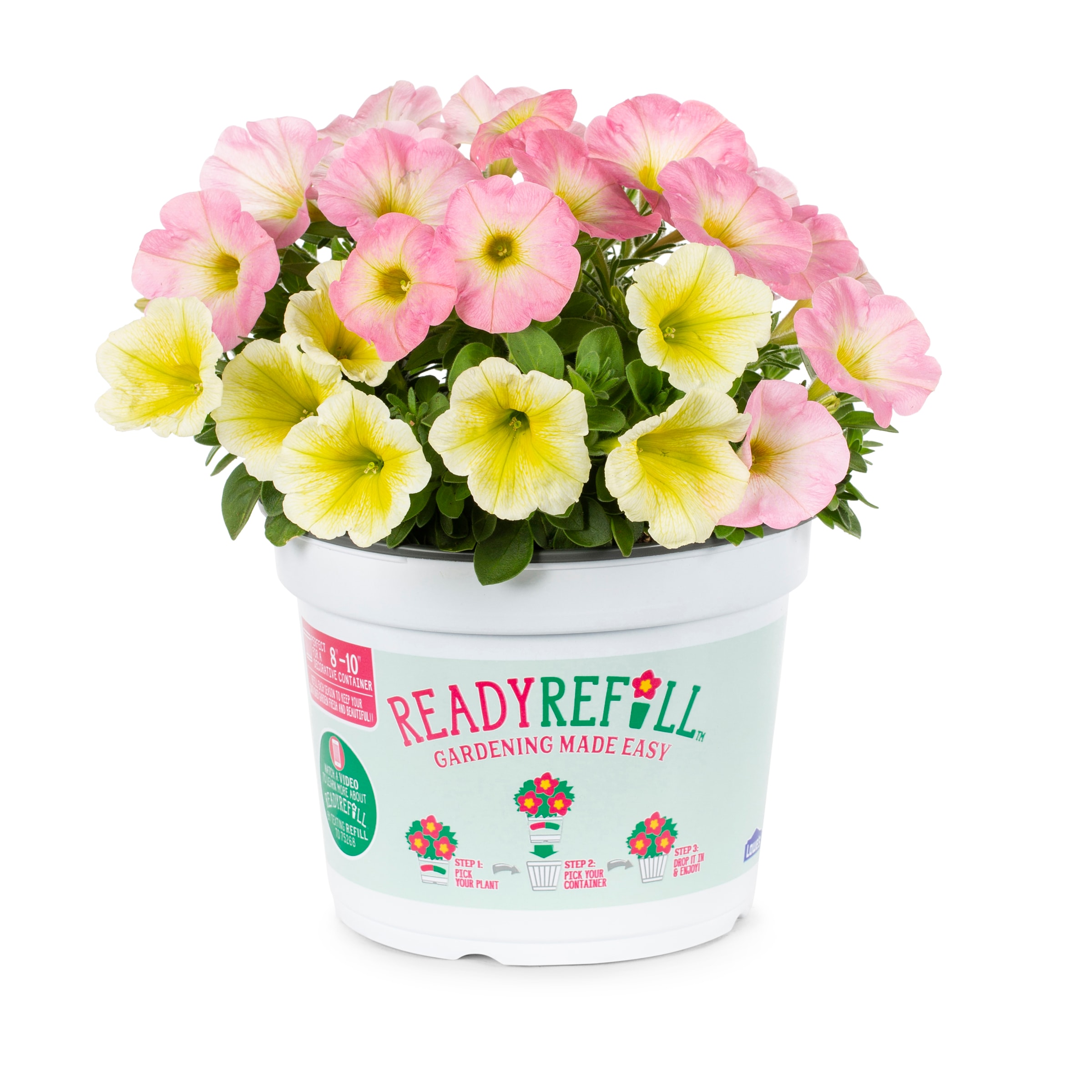 Ready Refill NURSERY Multicolor Mixed Annuals Combinations in 3-Quart Pot