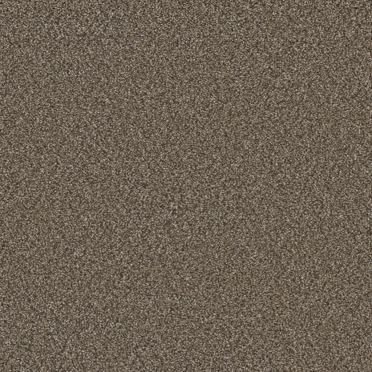 STAINMASTER L3004-404-0808 (Sample) Basin Creek Brown 37-oz sq yard Solution-dyed polyester Textured Indoor Carpet