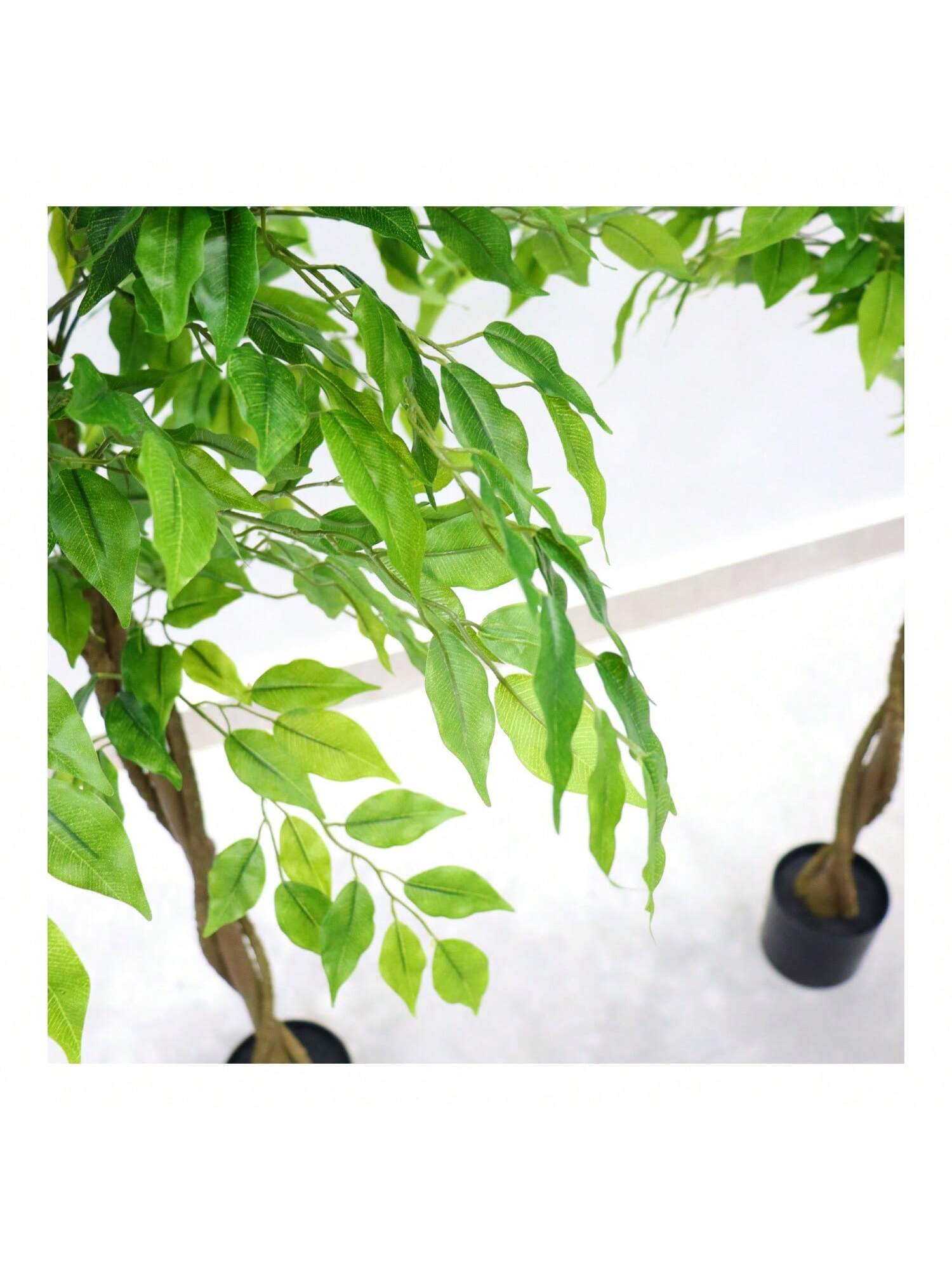 WhizMax GGL-PHK-33EXT8RQ Artificial-Plants-Trees - View #8