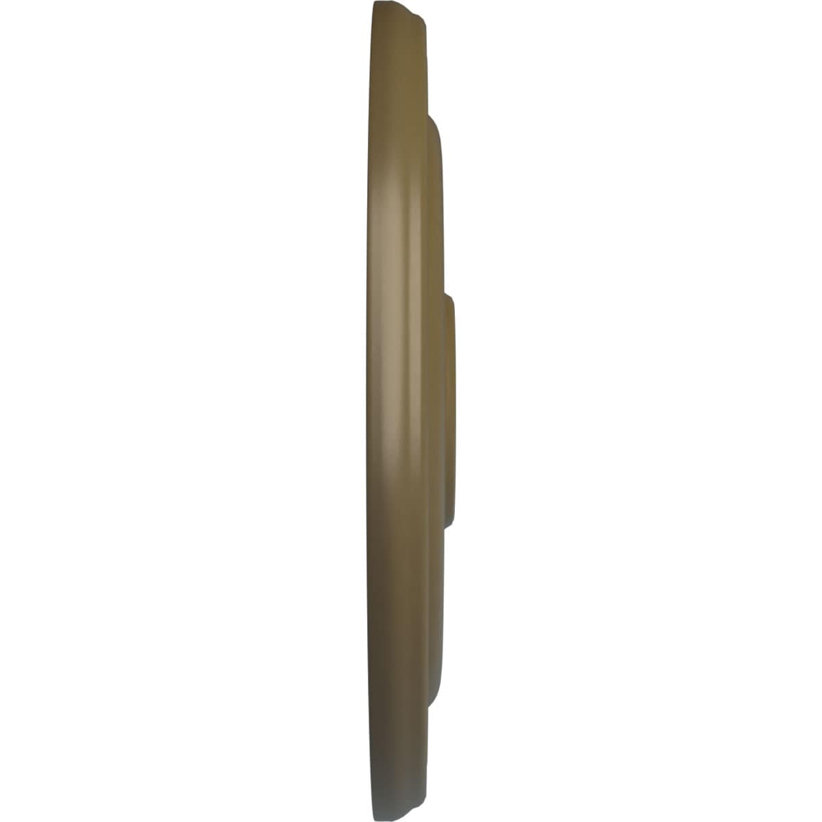 Ekena Millwork CM16KPMMF Ceiling-Medallions - View #3