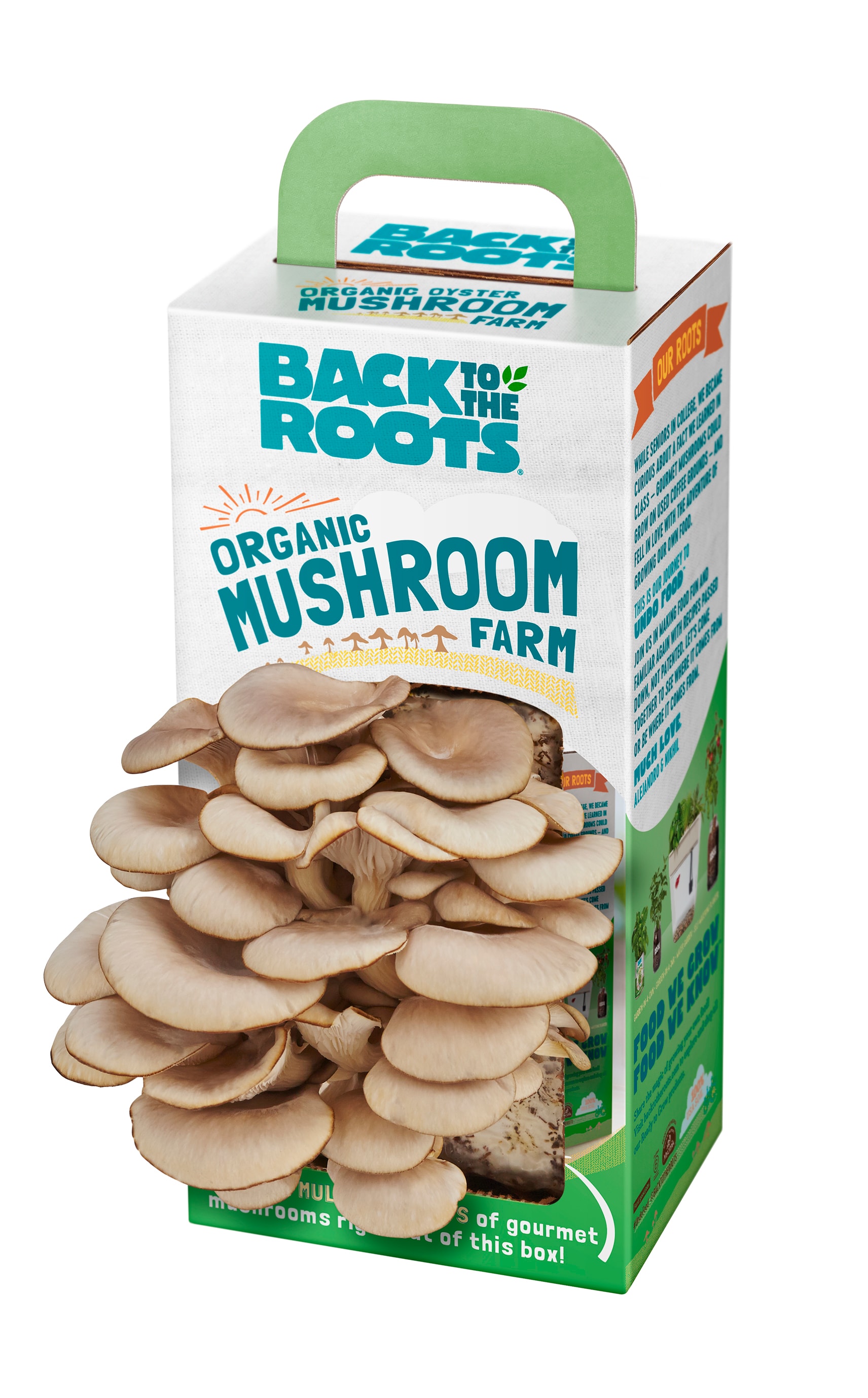 Organic Shiitake Mushroom Kit (START GROWING RIGHT AWAY) – Back to the Roots