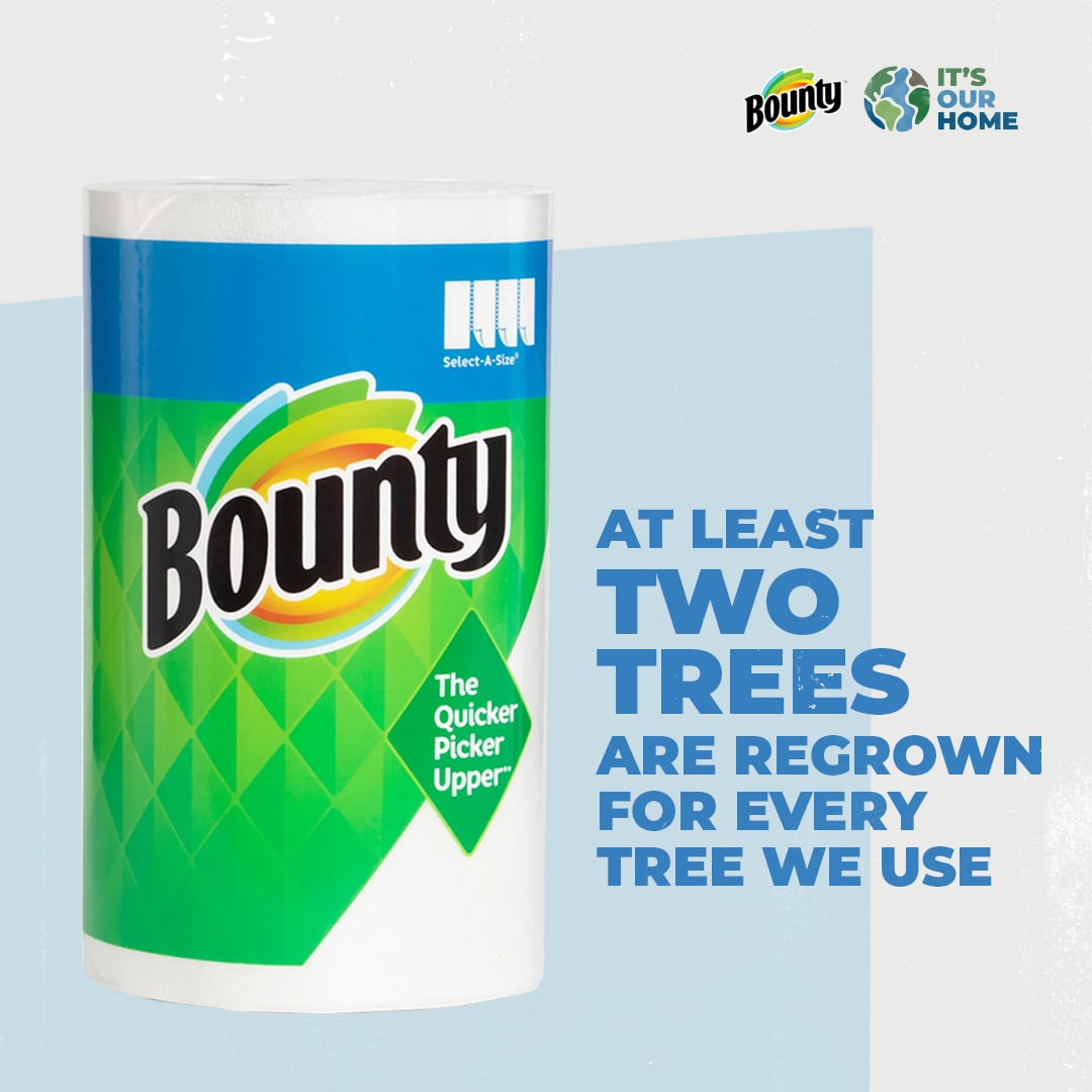Bounty White, Select-A-Size Paper Towels (2 Triple Rolls) 003077206133 -  The Home Depot