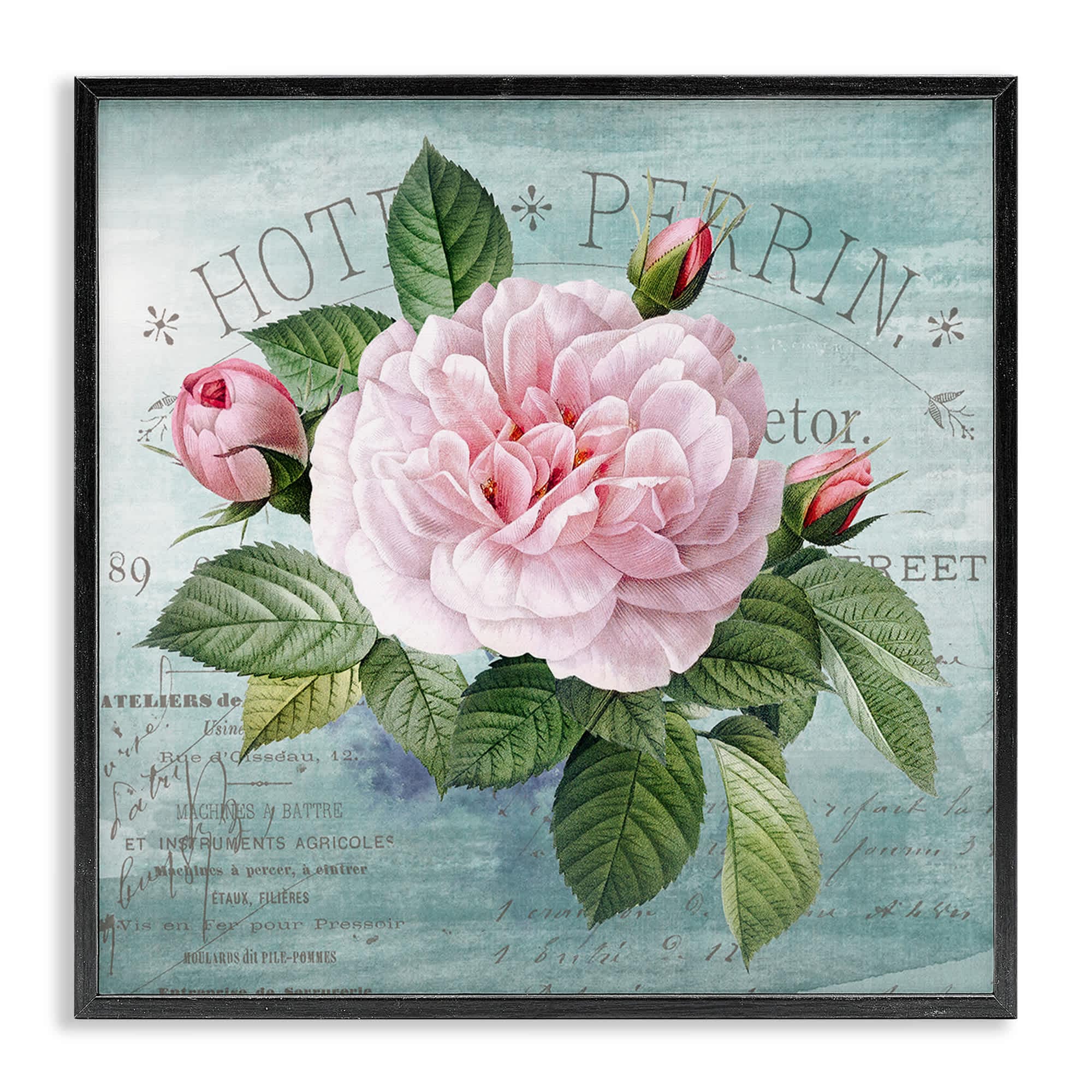 Stupell Industries BT-983-FR-17X17 Bright and Rustic Tropical Bloom Black Framed Giclee Art By Susan Arnot 17 x 17
