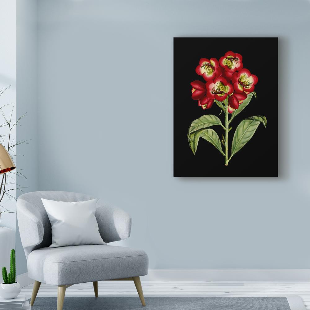 Crimson Red Floral Canvas Art with Black Background
