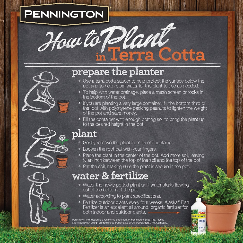 Terra Cotta Clay Bulb Pan Planter - 8 inch