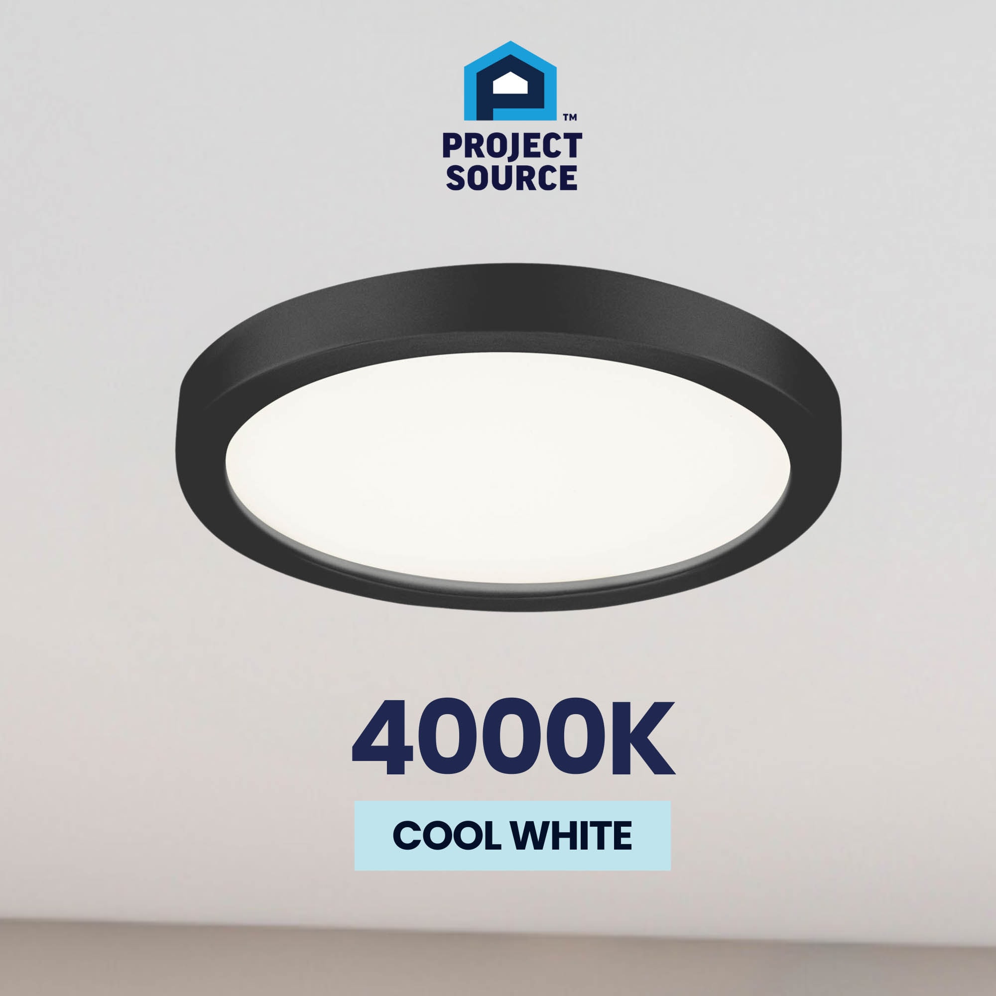 Project Source 43553 flushmounts - View #12