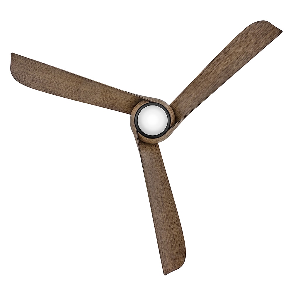 Hinkley 907256FBD-LDD Ceiling-Fans - View #5