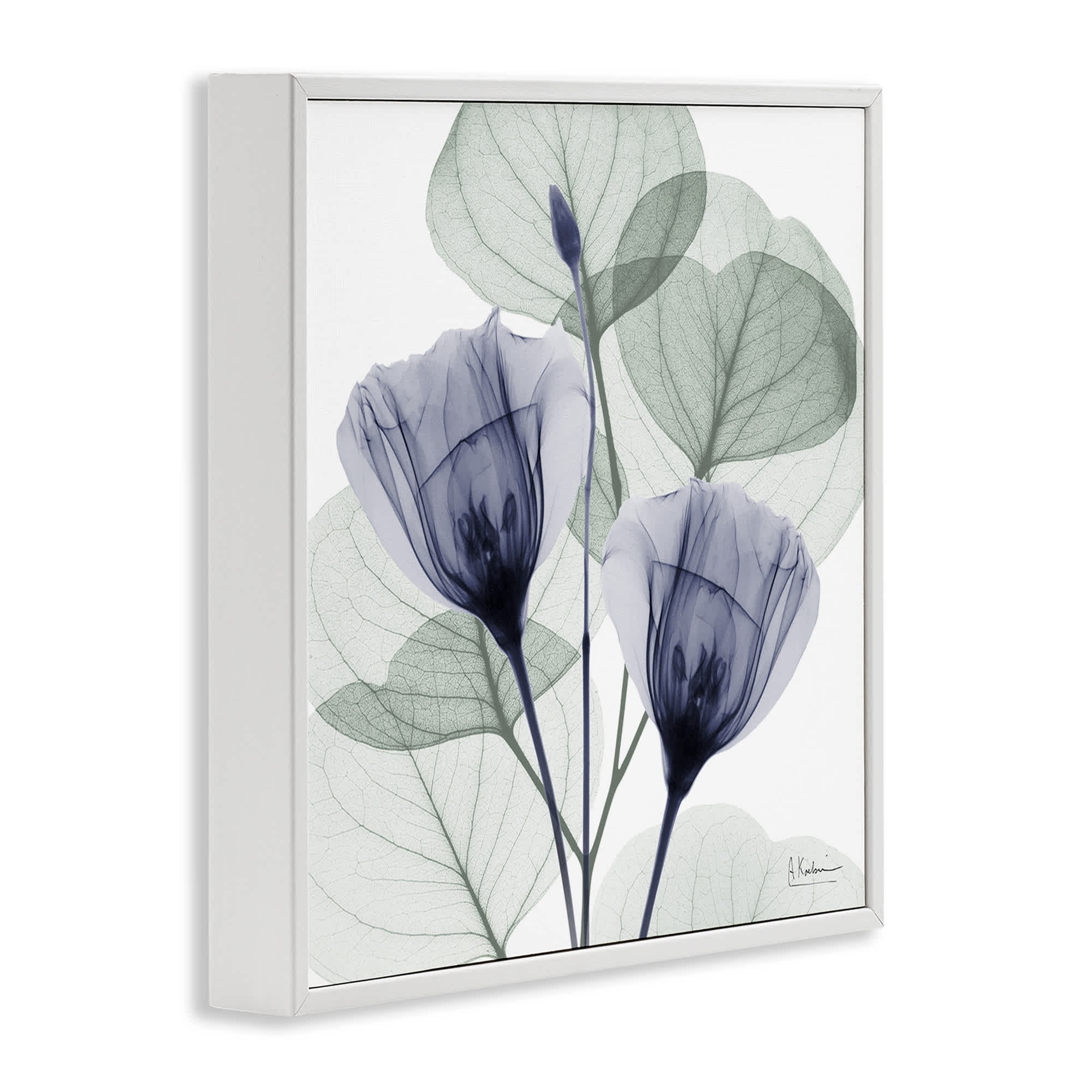 Stupell Industries BS-023-WFR-24X24 Wall-Art - View #2