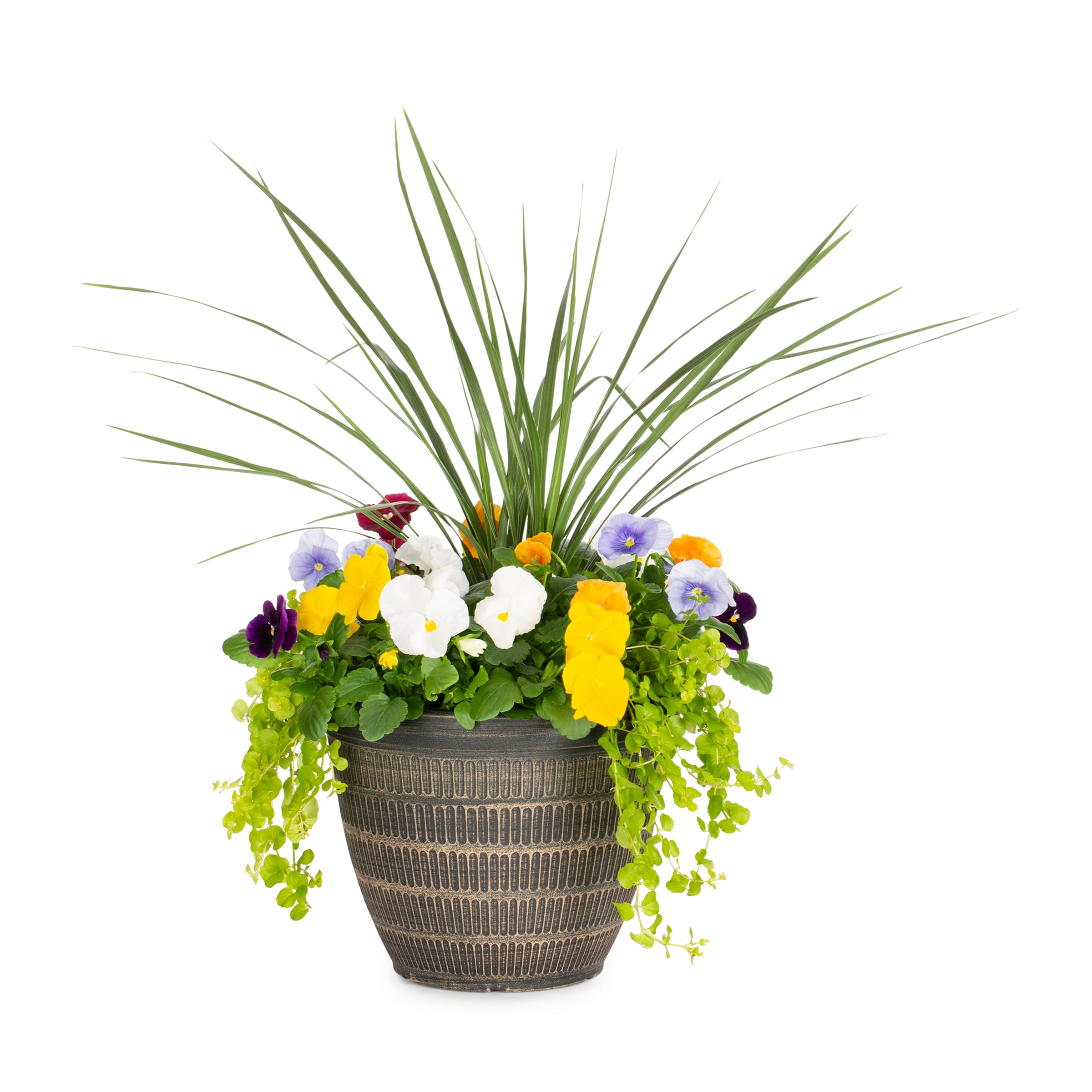 Lowe's NURSERY Multicolor Mixed Annuals Combo in 2.5 Gallon(s) Planter 1 -Pack