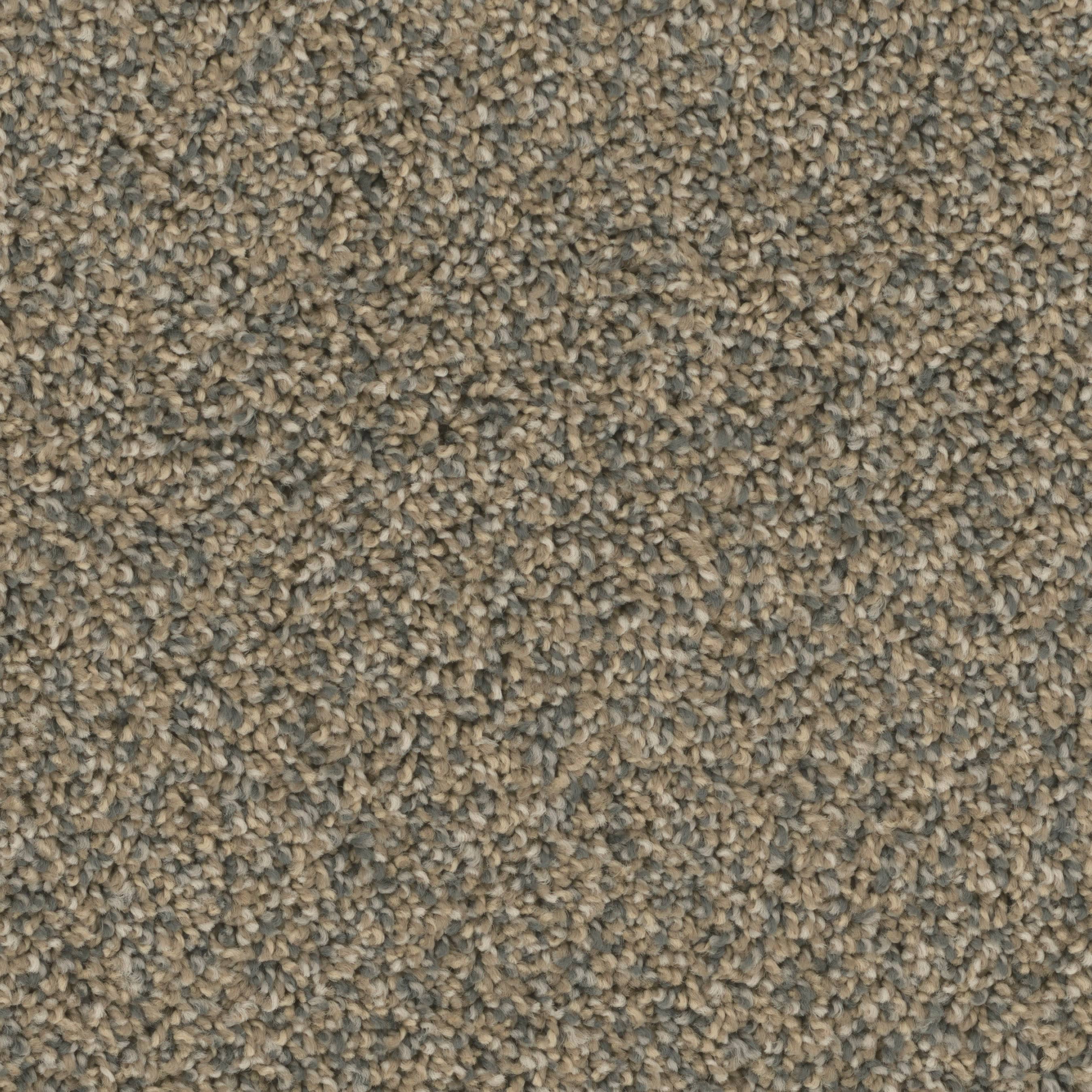 STAINMASTER PetProtect S9340-867-1200-MO Druid Hills II Preservation Multi-Colored 40-oz sq yard Nylon Textured Indoor Carpet