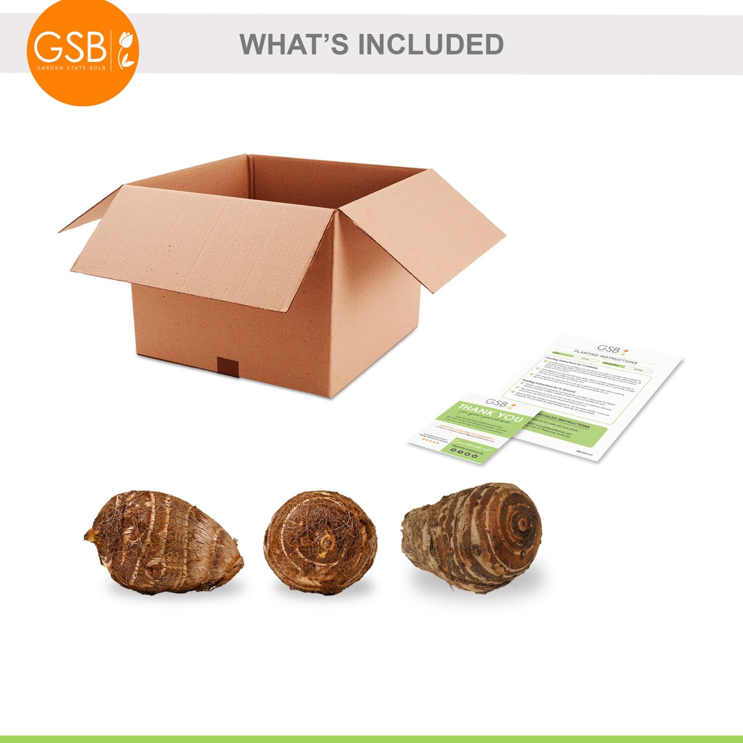 Garden State Bulb ECS-224-03-03 Plant-Bulbs - View #7