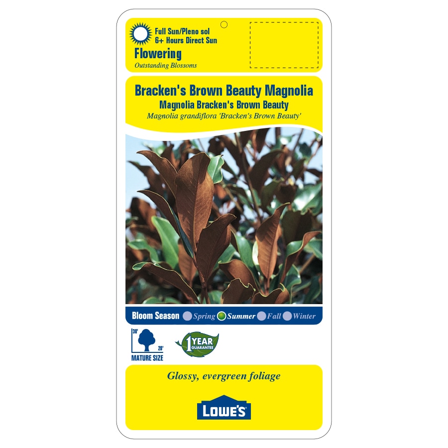 Lowe's NURSERY trees - View #2