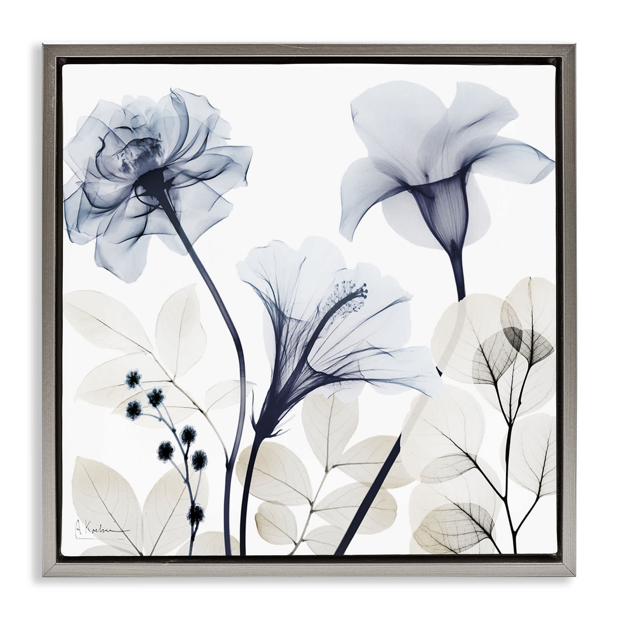Stupell Industries BS-018-FFL-17X17 Sophisticated Minimal Flowers Gray Framed Floater Canvas Wall Art By Albert Koetsier 18 x 18