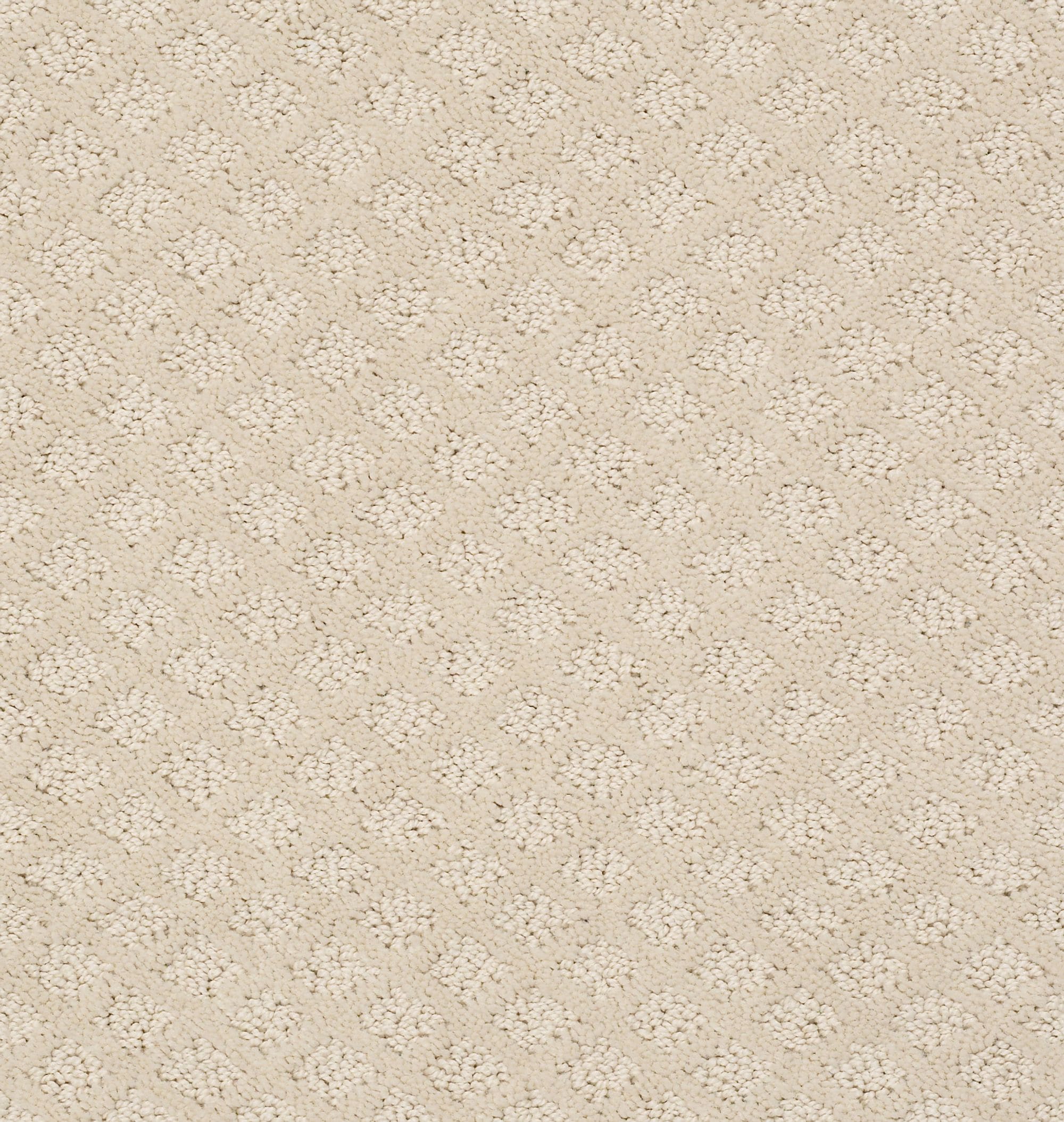 STAINMASTER 7L904 - 183 - SAMP (Sample) Belmont Blvd Sentimental Brown 25-oz sq yard Nylon Pattern Indoor Carpet