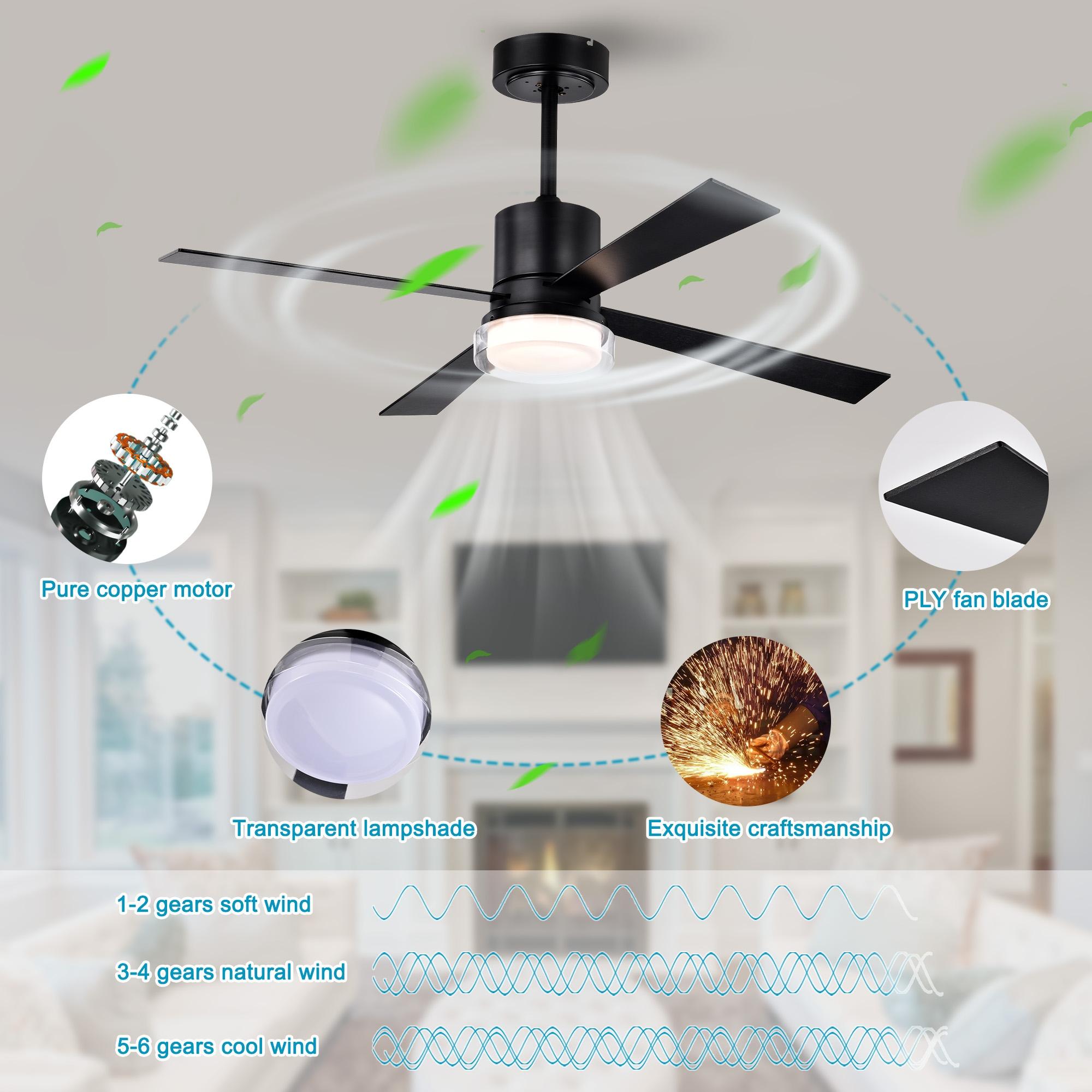 Bayfeve BFHM-62798-CF Ceiling-Fans - View #11
