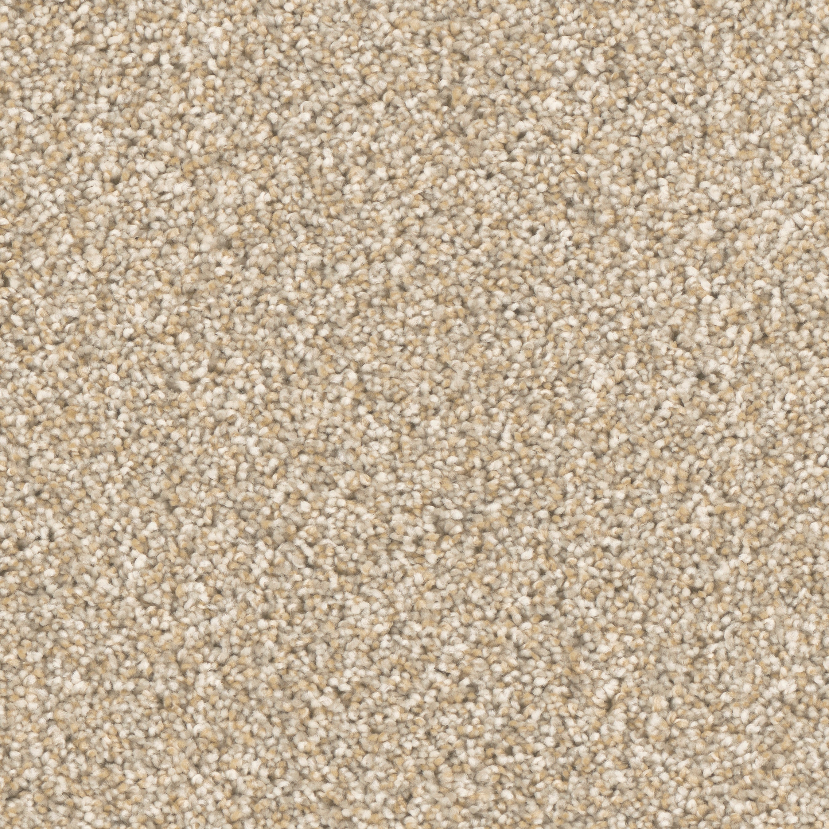 STAINMASTER S9150-844-S (Sample) Fuse Visualize Brown 50-oz sq yard Polyester Textured Indoor Carpet