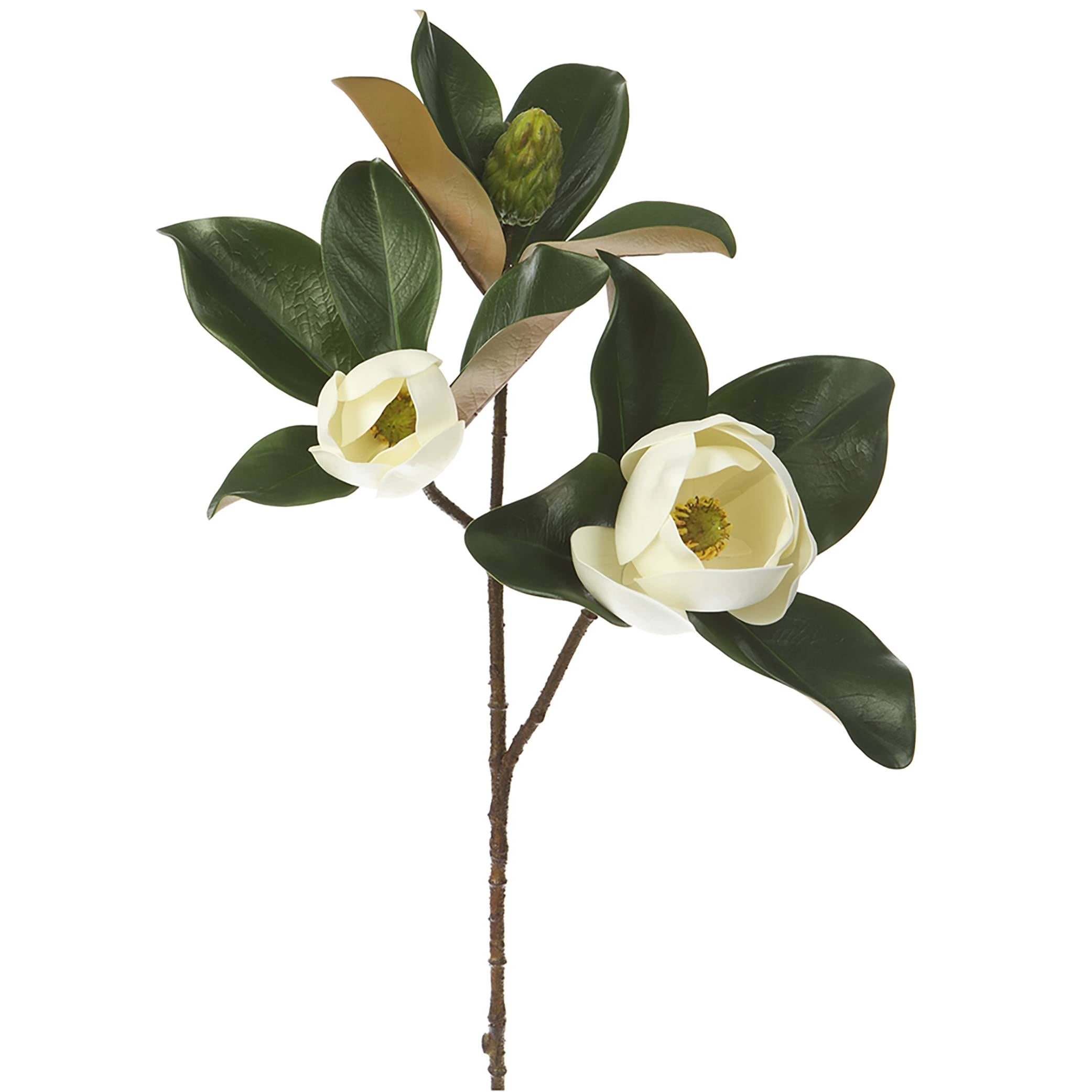 allen + roth 8-in White Indoor Magnolia Artificial Flower in the ...