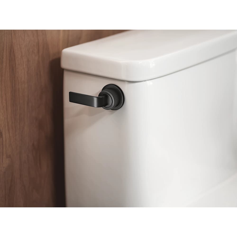 Moen YB0601BN Flush-Lever - View #3